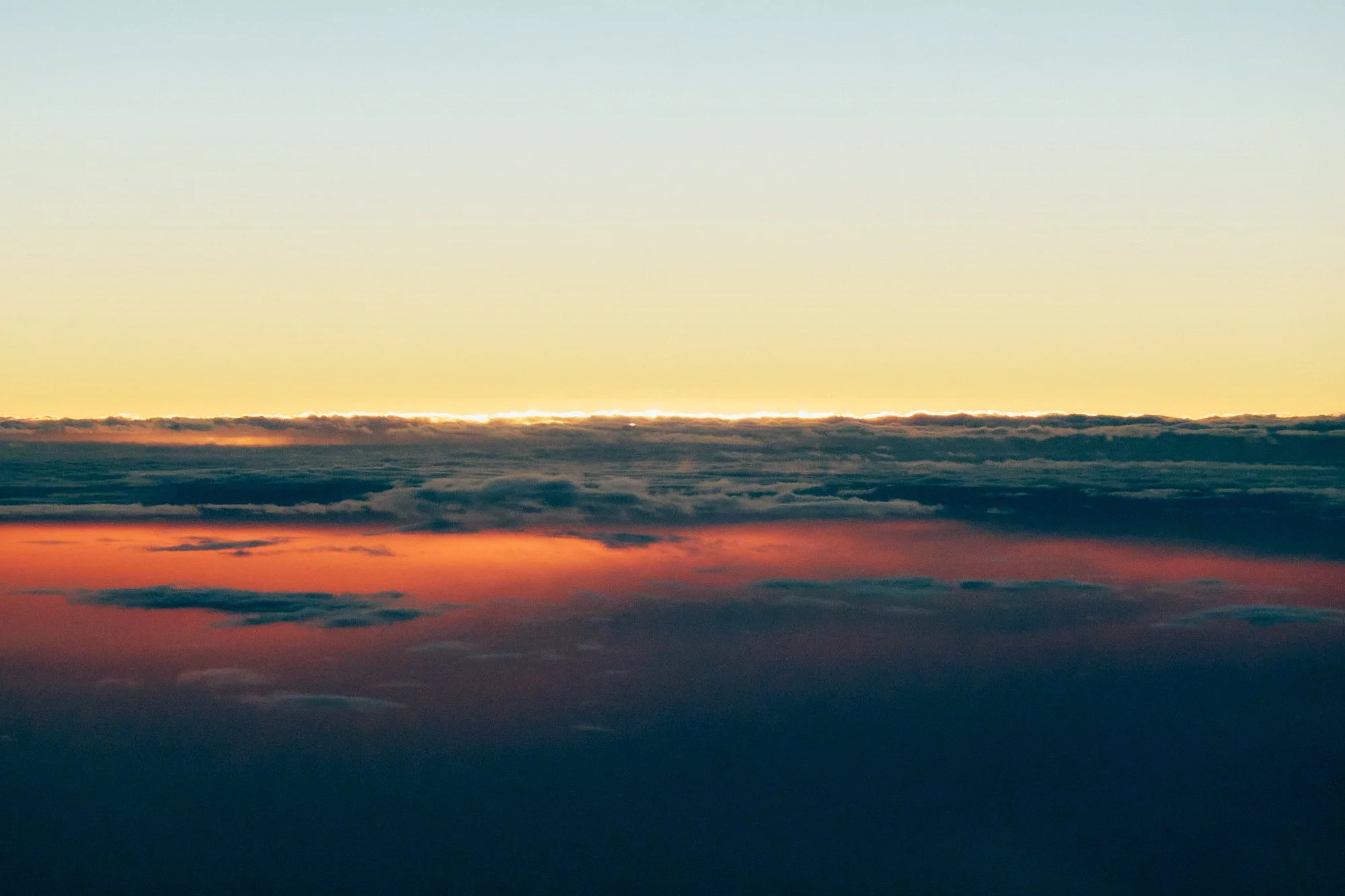 _ARX8082.jpg