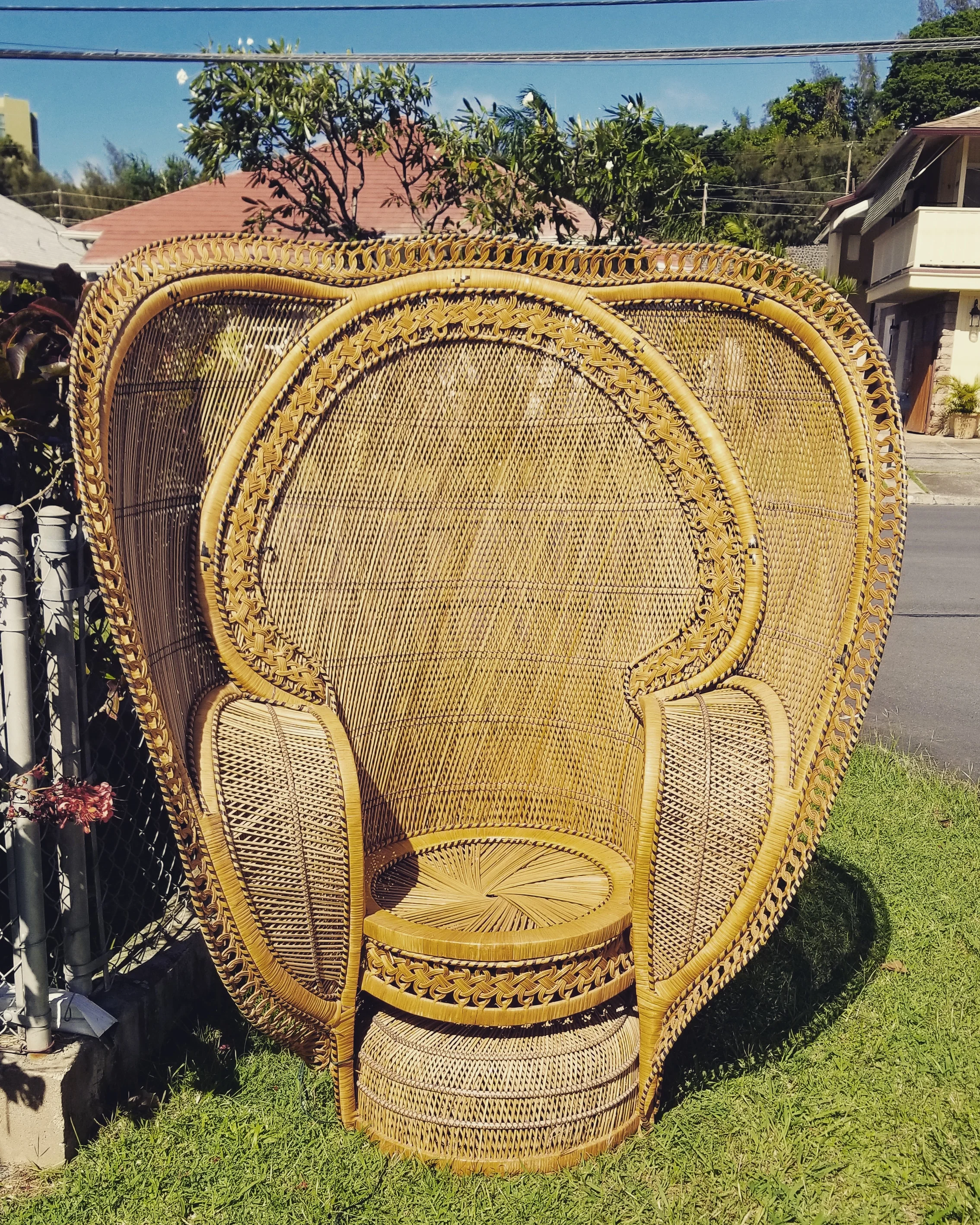 NEWLY ADDED : Cobra Peacock Chair