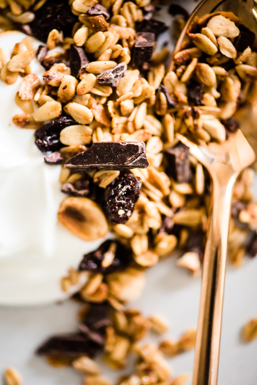 Dried Cherries, Hazelnut, Dark Chocolate & Cacao Nibs Granola