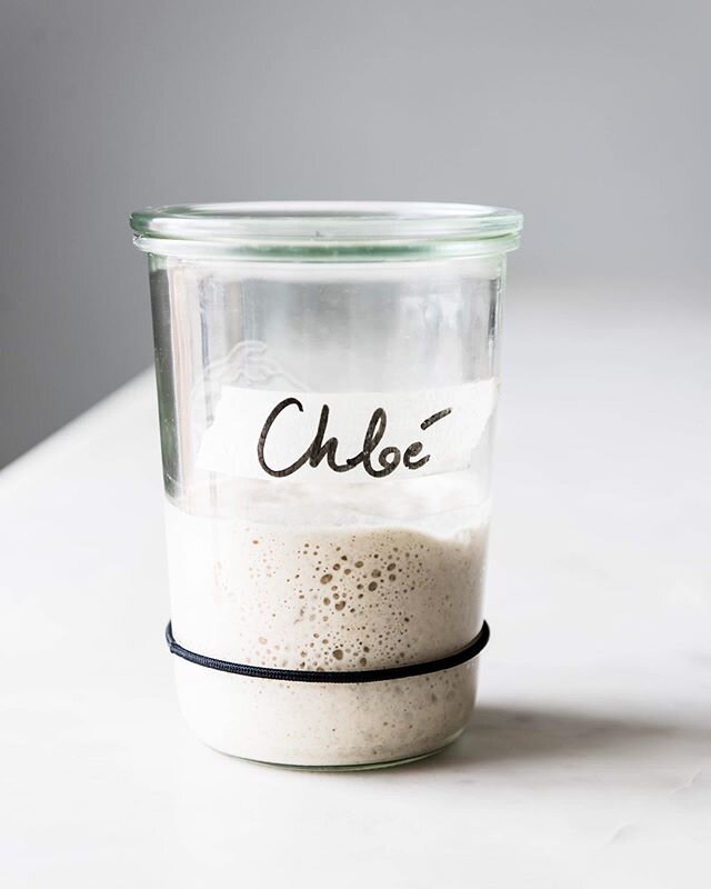 Witnessing the growth of a sourdough starter is fascinating and fulfilling. Similar to growing vegetables, flowers, babies. Although each comes with varying effort. 😉I believe the satisfaction comes from growth itself. It&rsquo;s slow and steady and