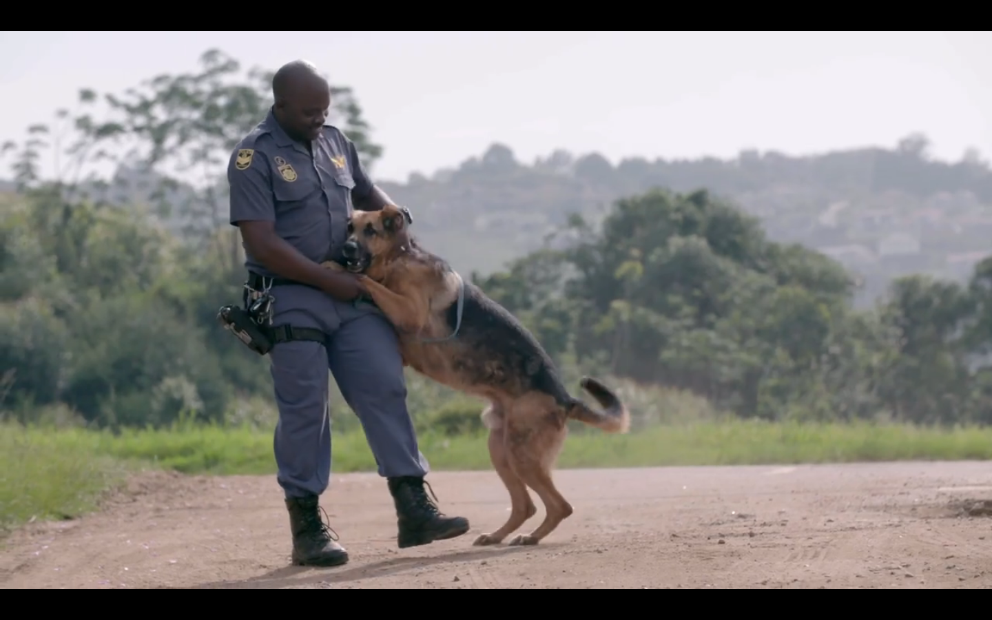 Police Dogs Story