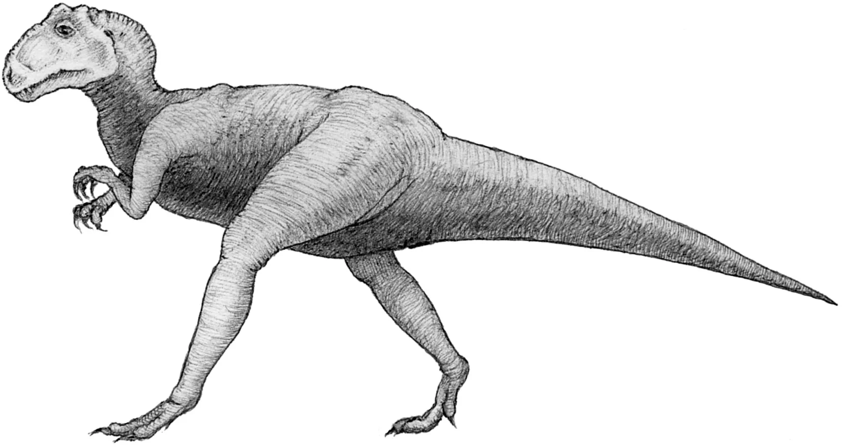 sad_dino.jpg