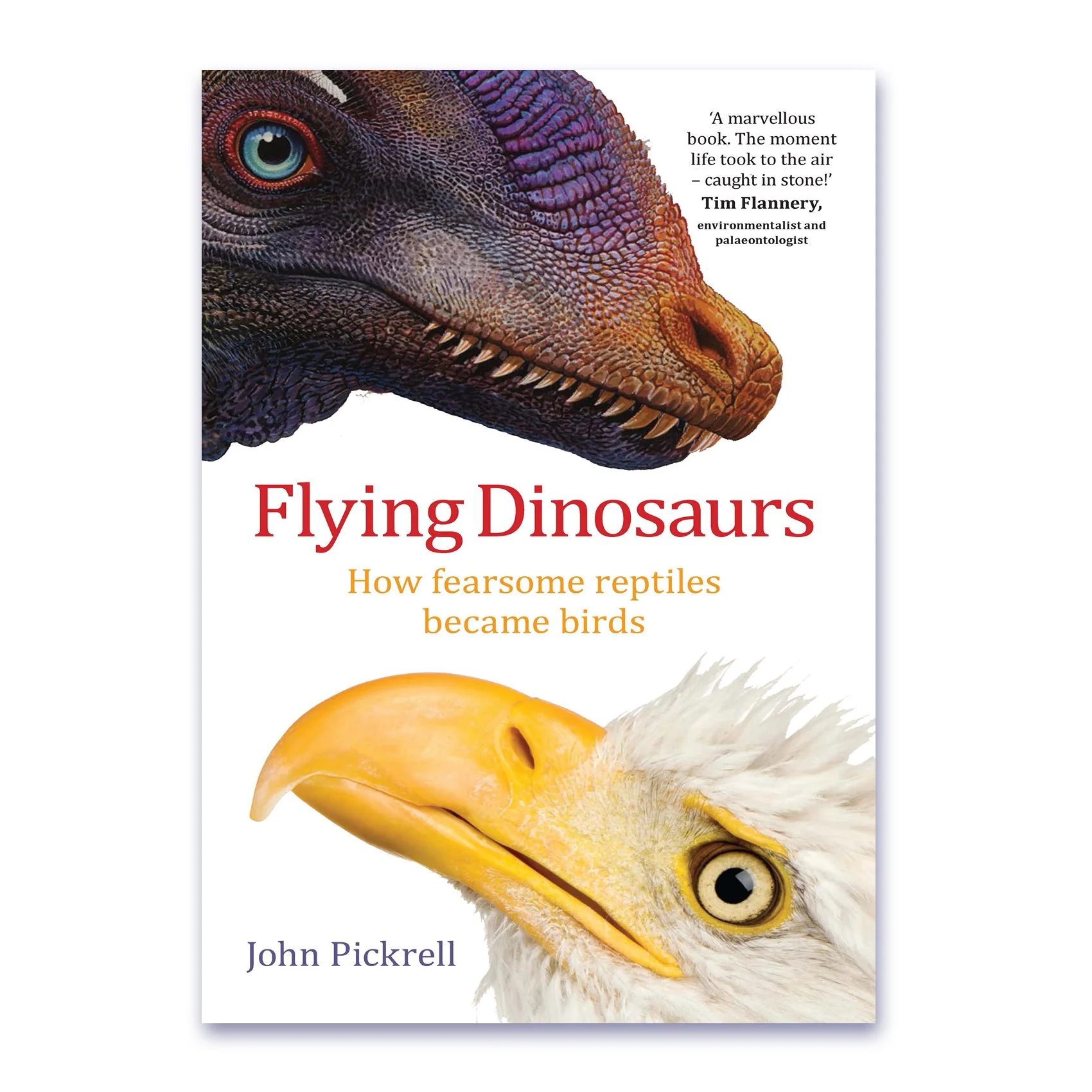 Flying Dinosaurs.jpg