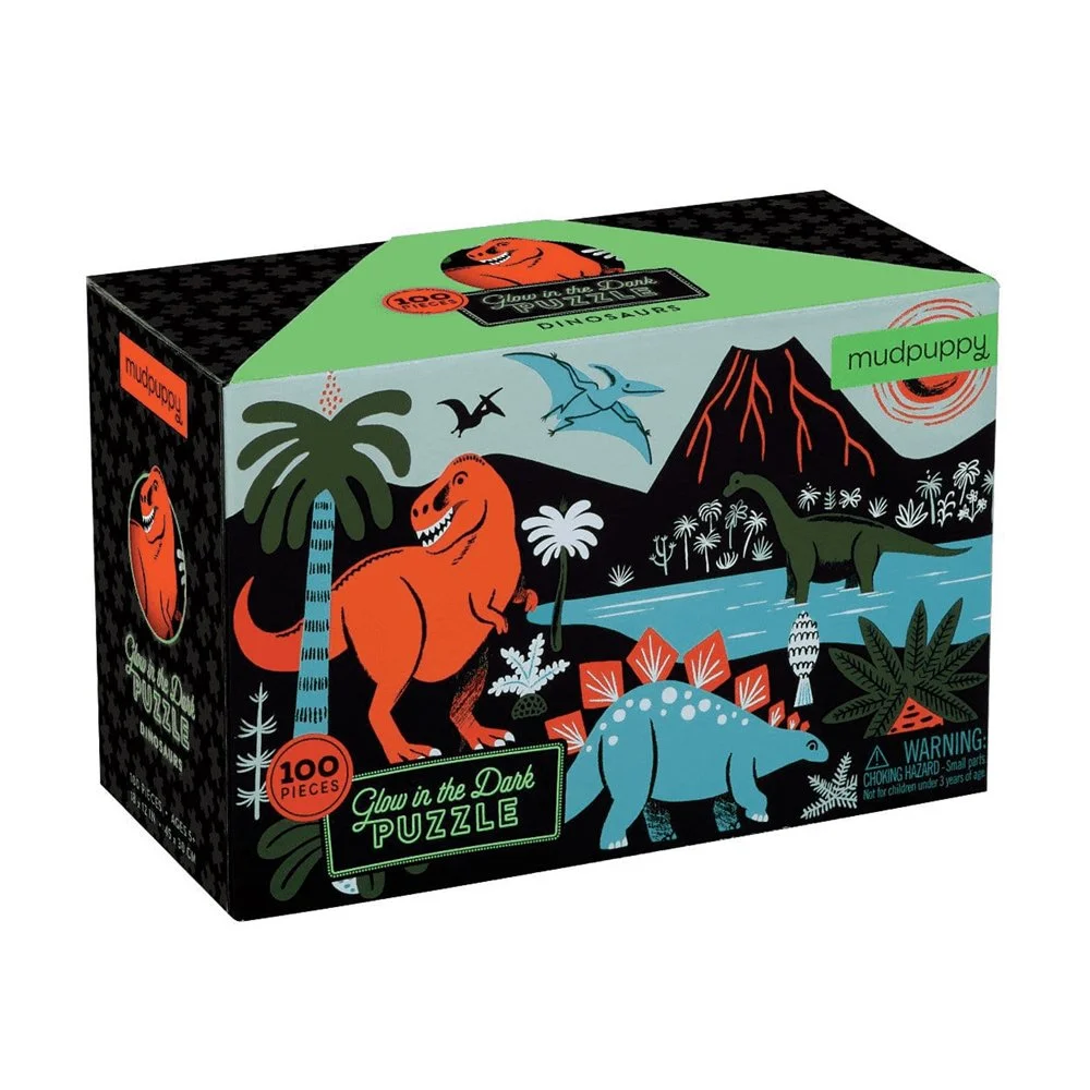 Dinosaur glow in the dark puzzle.jpg