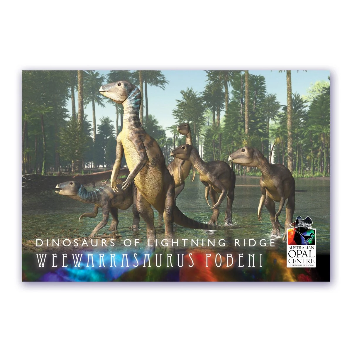 Magnet Weewarrasaurus V5.jpg