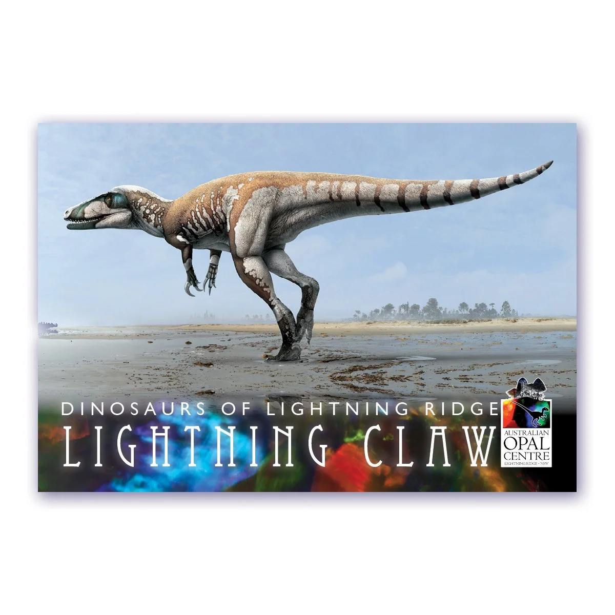 Magnet Lightning Claw.jpg