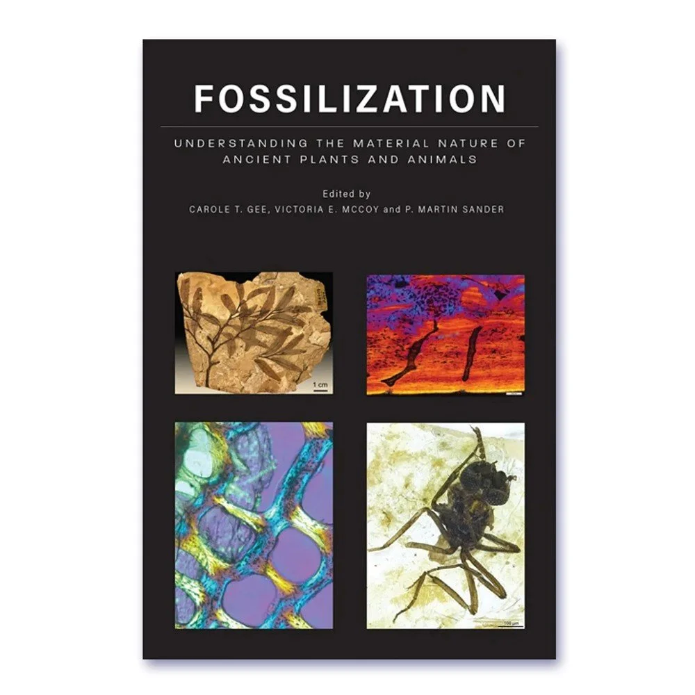 Fossilization: Understanding the Material Nature of Ancient Plants and Animals.