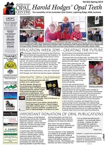Vol.9(3) Spring 2013