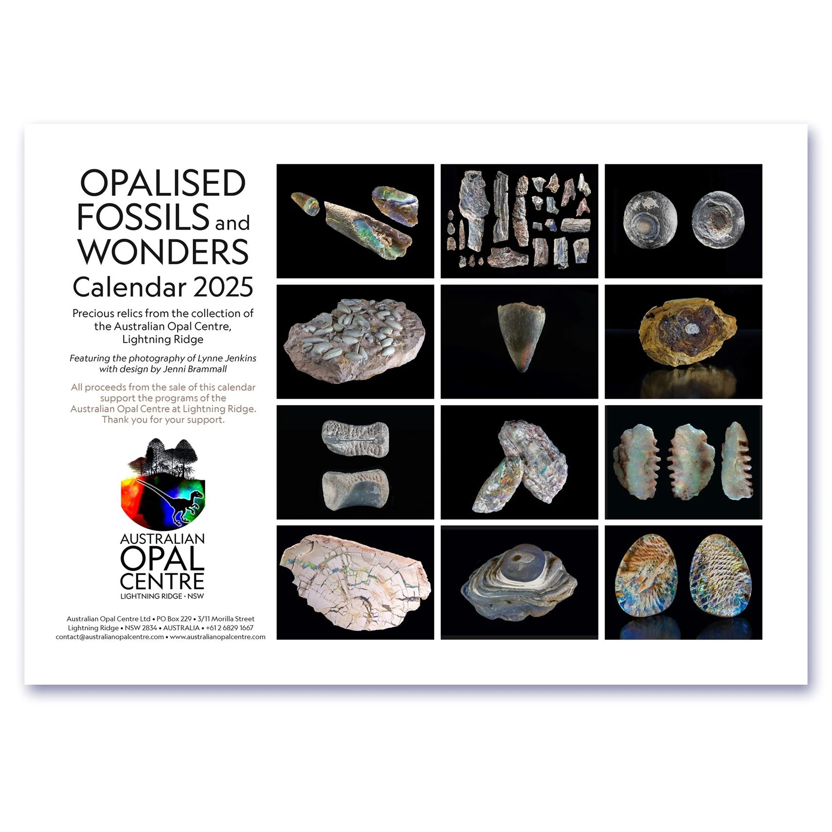 Opalised Fossils and Wonders Calendar 2025.jpg