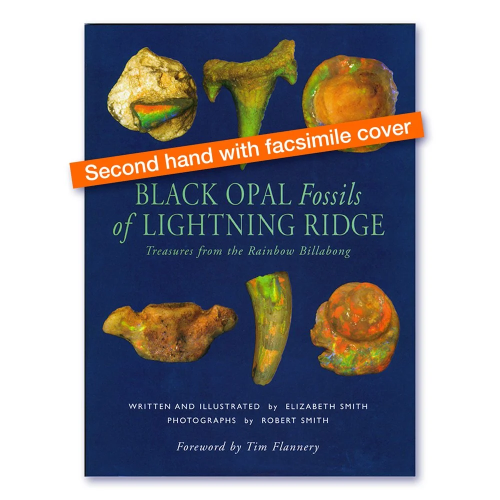 Black Opal Fossils of Lightning Ridge 2nd hand.jpg