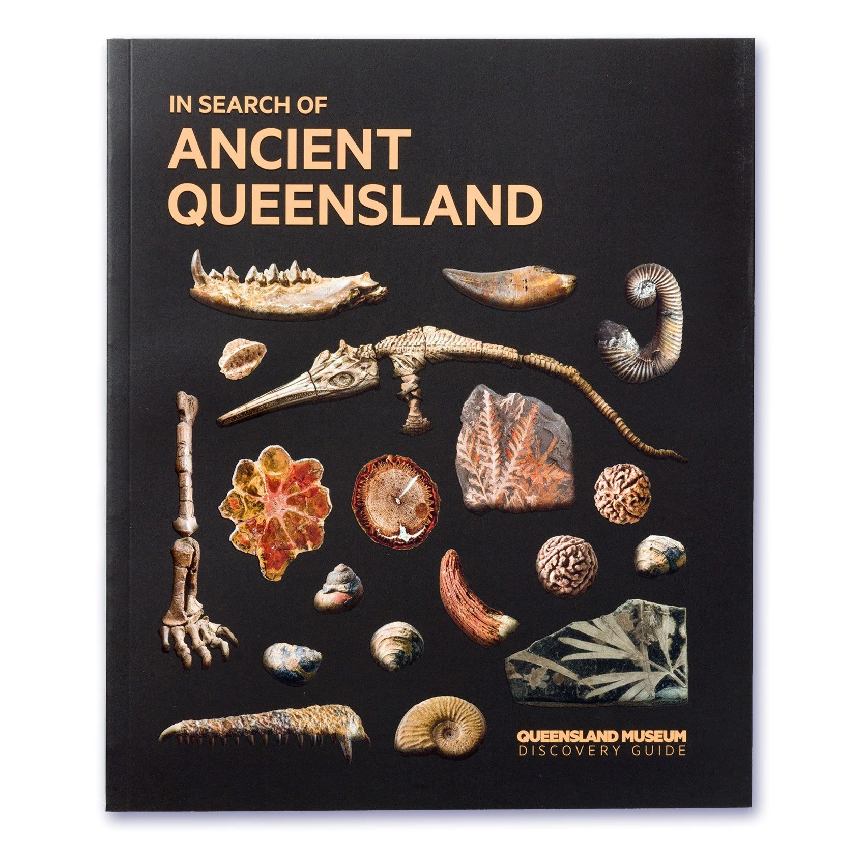 In Search of Ancient Queensland