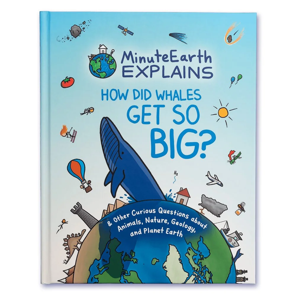 Minute Earth Explains - How Did Whales Get So Big?