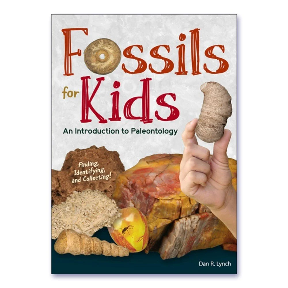 Fossils for Kids - An Introduction to Paleontology
