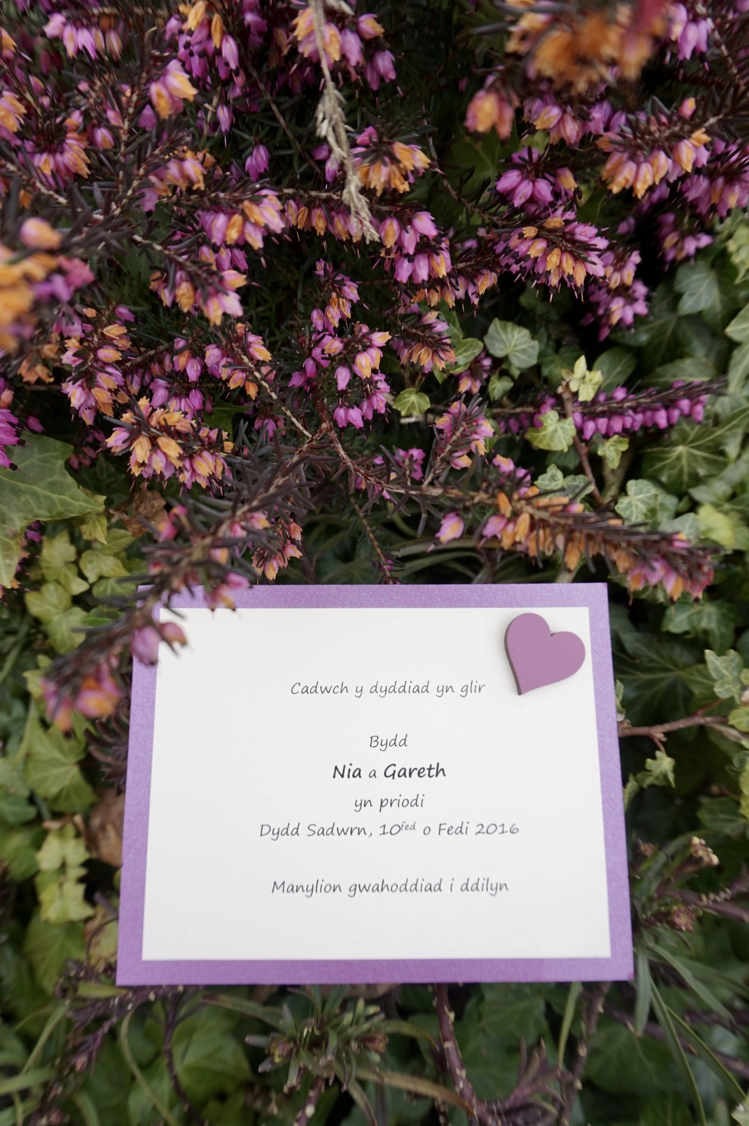 Cerdyn Cadw'r Dyddiad / Save the Date 