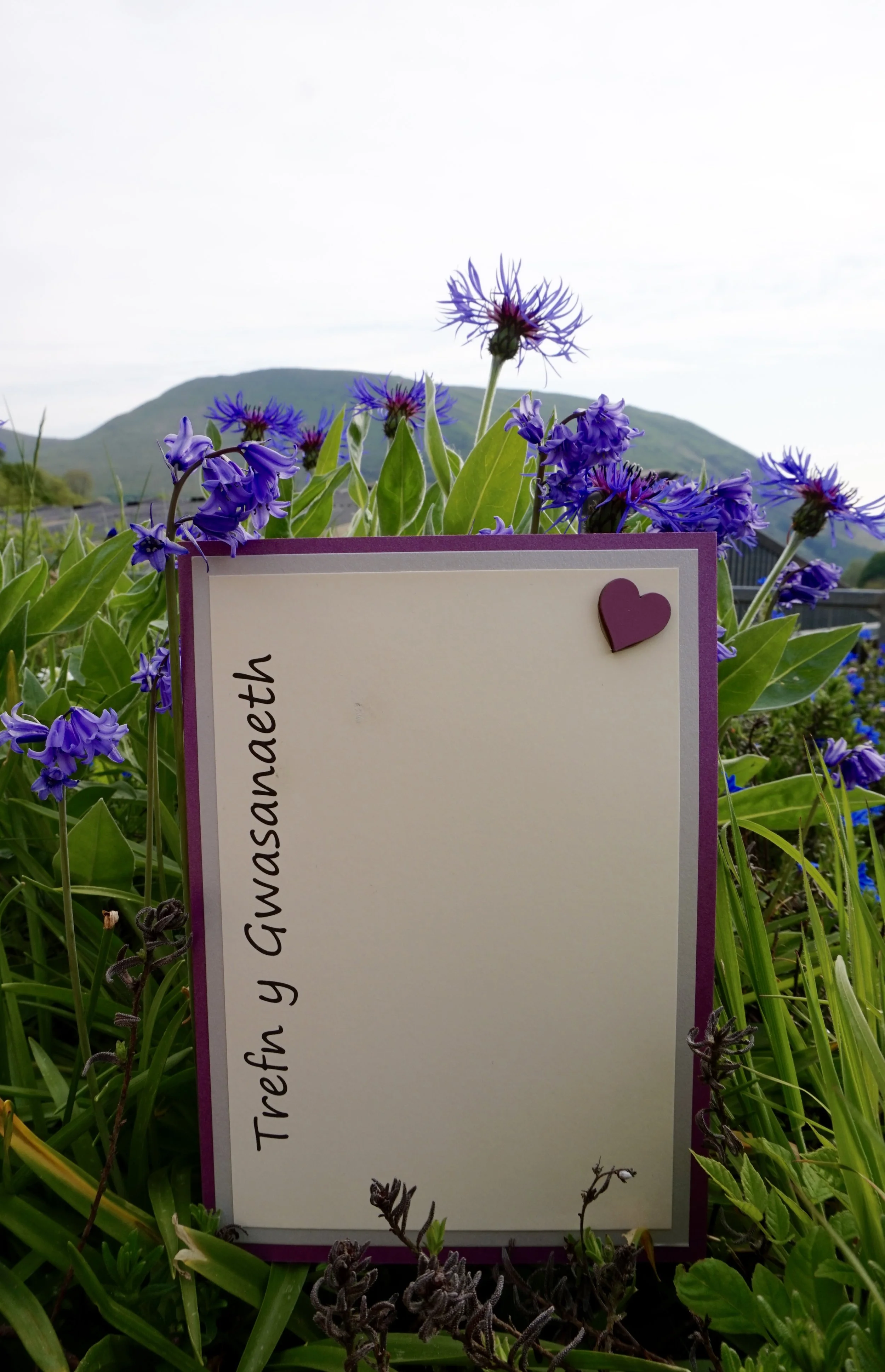 Trefn Gwasanaeth / Order of Service