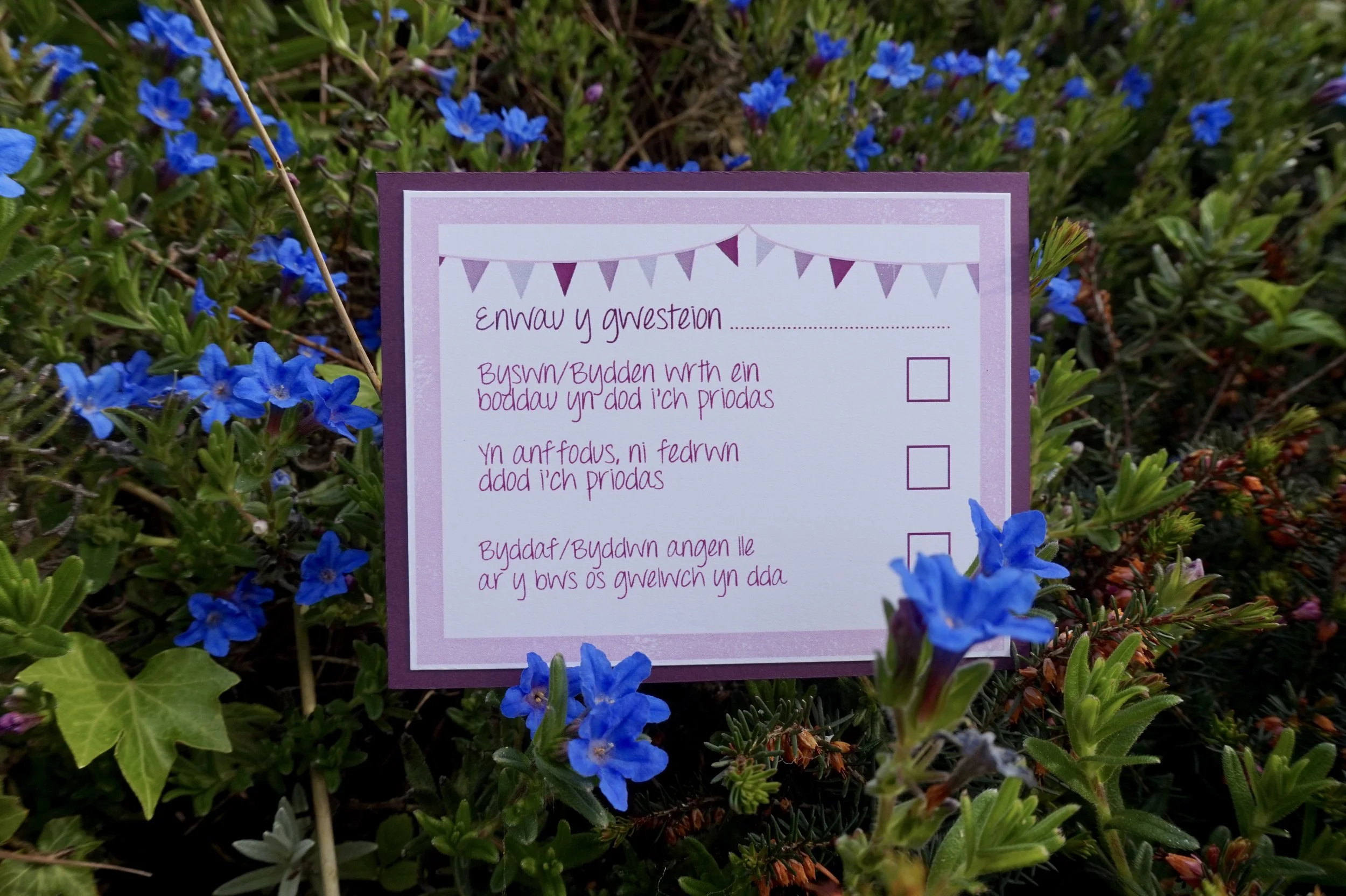 Cerdyn Ymateb / RSVP Card 