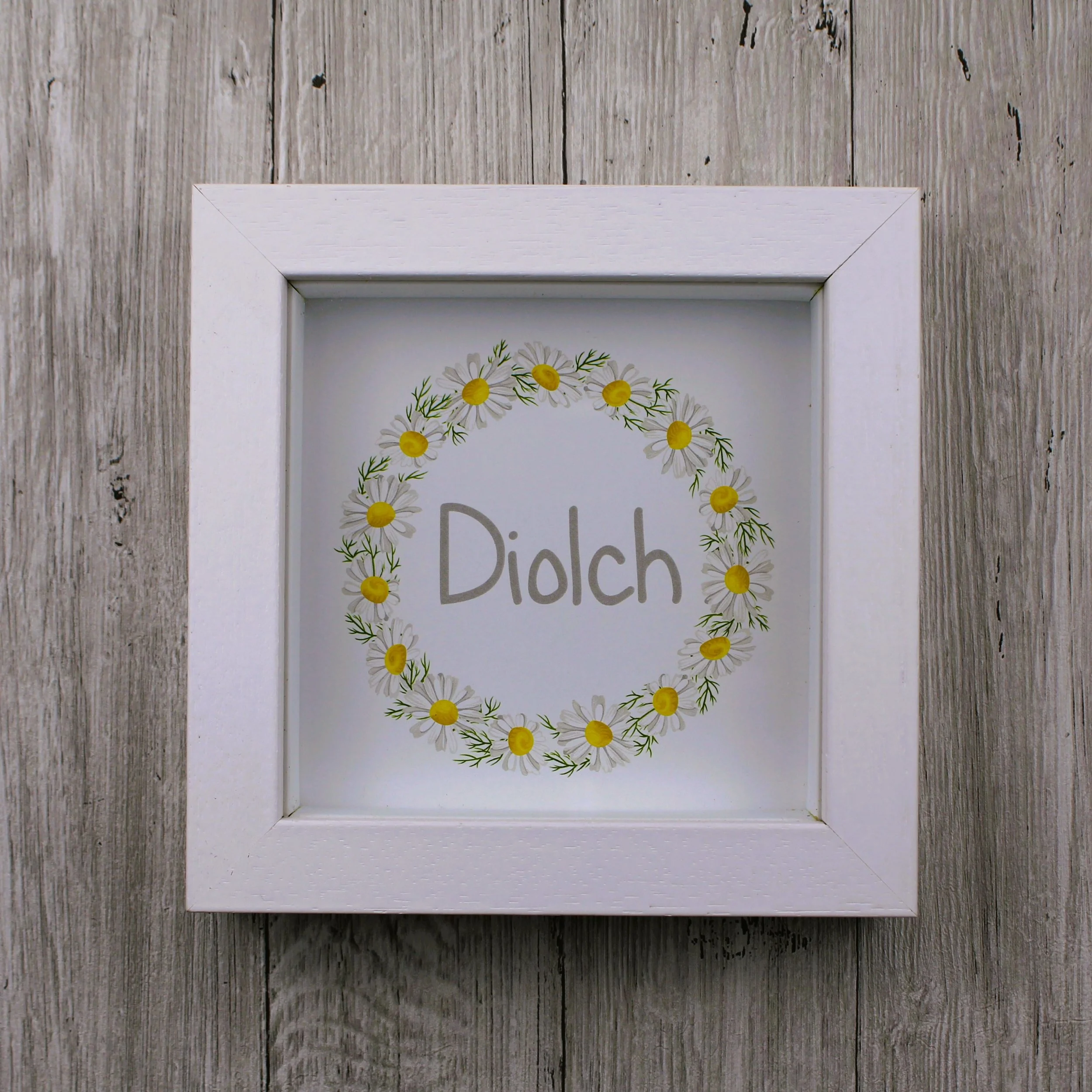 Ffram Diolch Llygad y Dydd (AN127)