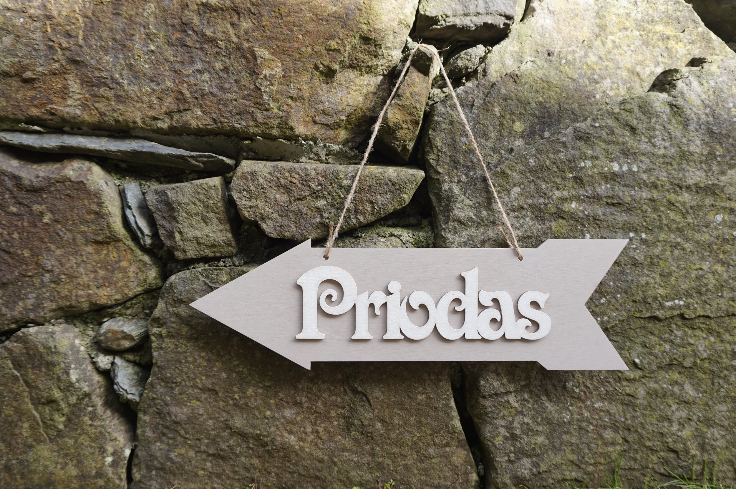 Arwydd Priodas / Wedding Sign