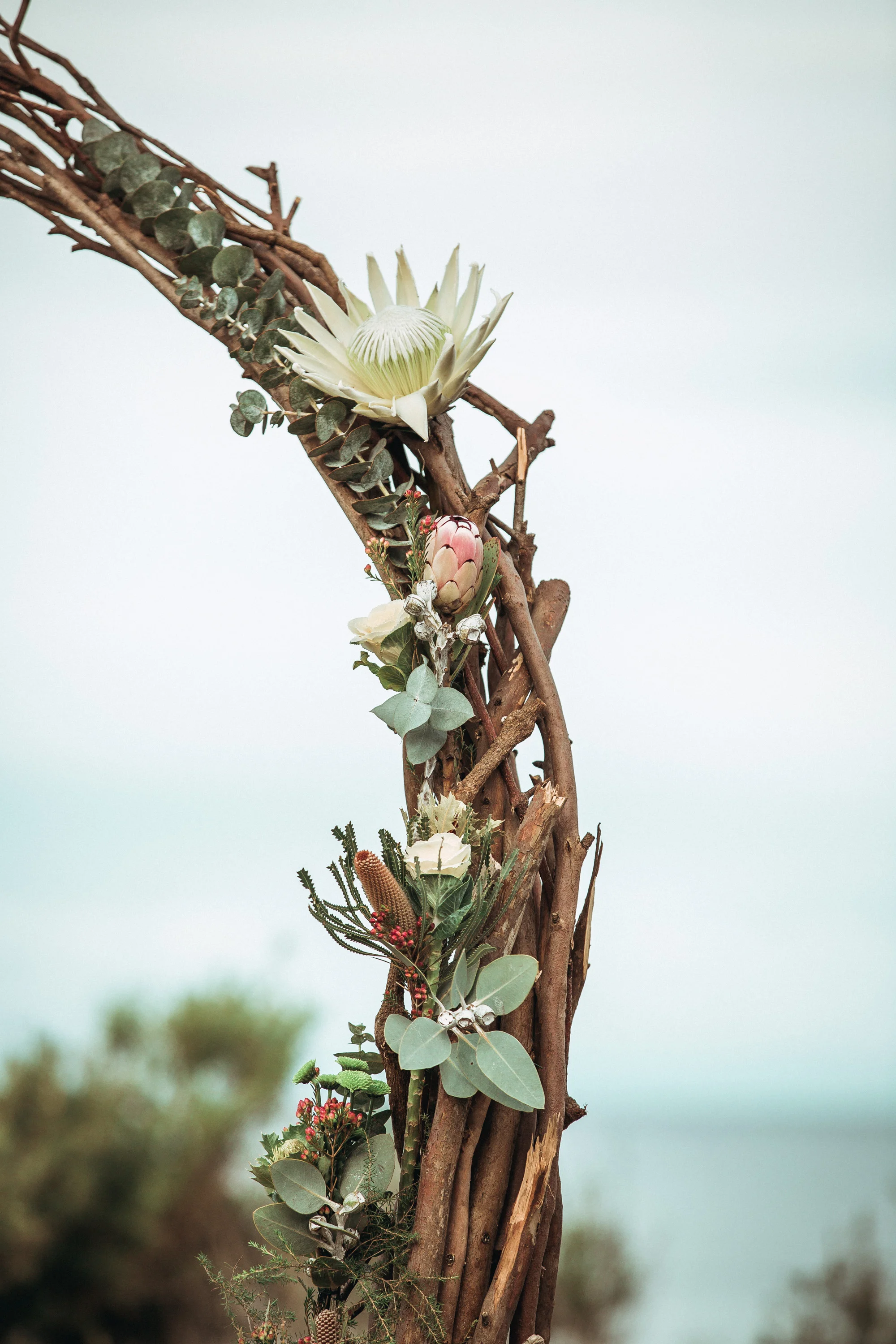 Hollie and Greg-195.jpg