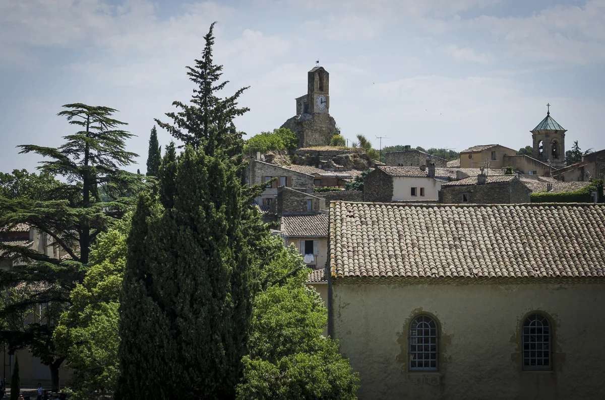 _DSC9587.jpg