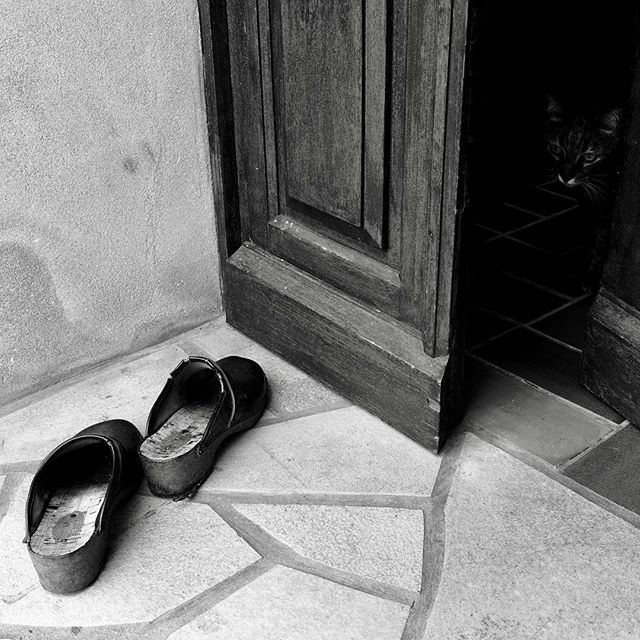 Welcome home
.
.
.
#france #bretagne #breitz #shoes #entrance #photographer #opendoor #door #woodendoor #hinddencat #cat #meow #notallowedtogooutside #catoftheday #catofinstagram #blackandwhitephotography #blackandwhite #marine #holidays #notasunnyda
