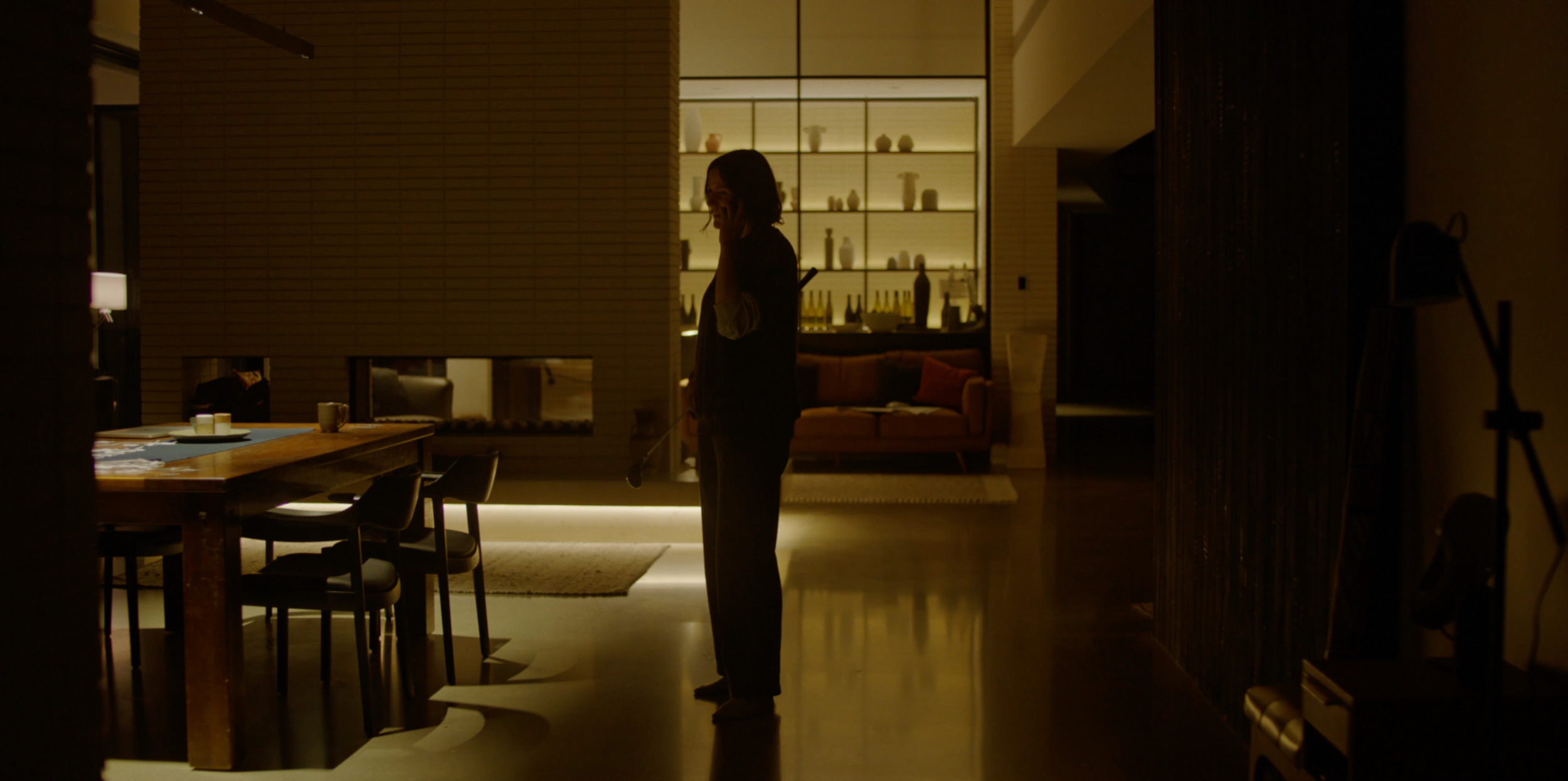 "Night interior from Monolith — a silhouette lit only by the house's practical shelf lighting, naturalistic low-light cinematography."