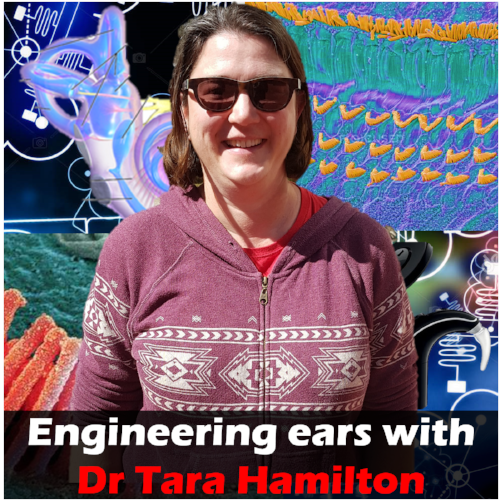 Tara cover art 1400 p.png