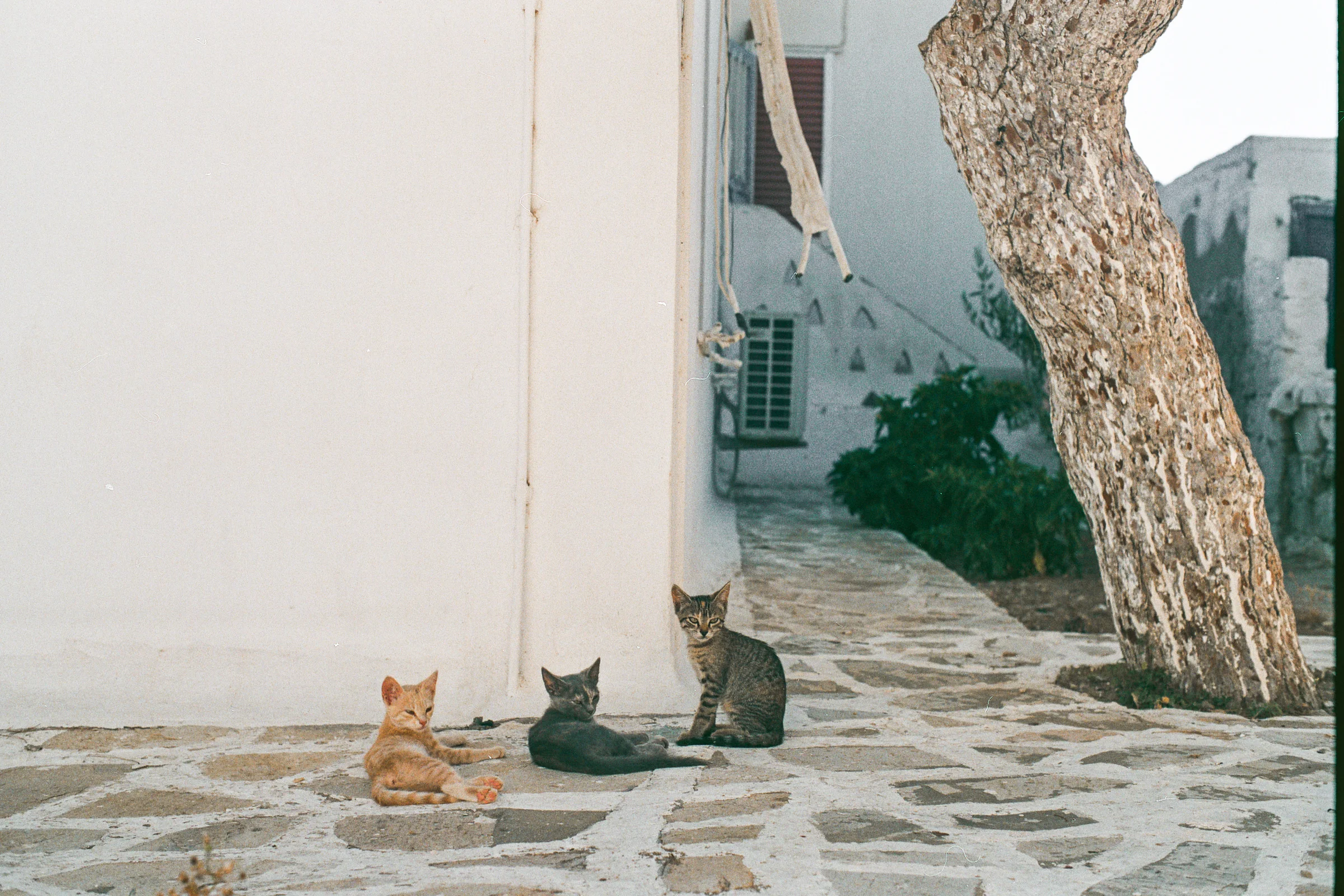 Antiparos Greece by Catherine Nemanic (3).jpg