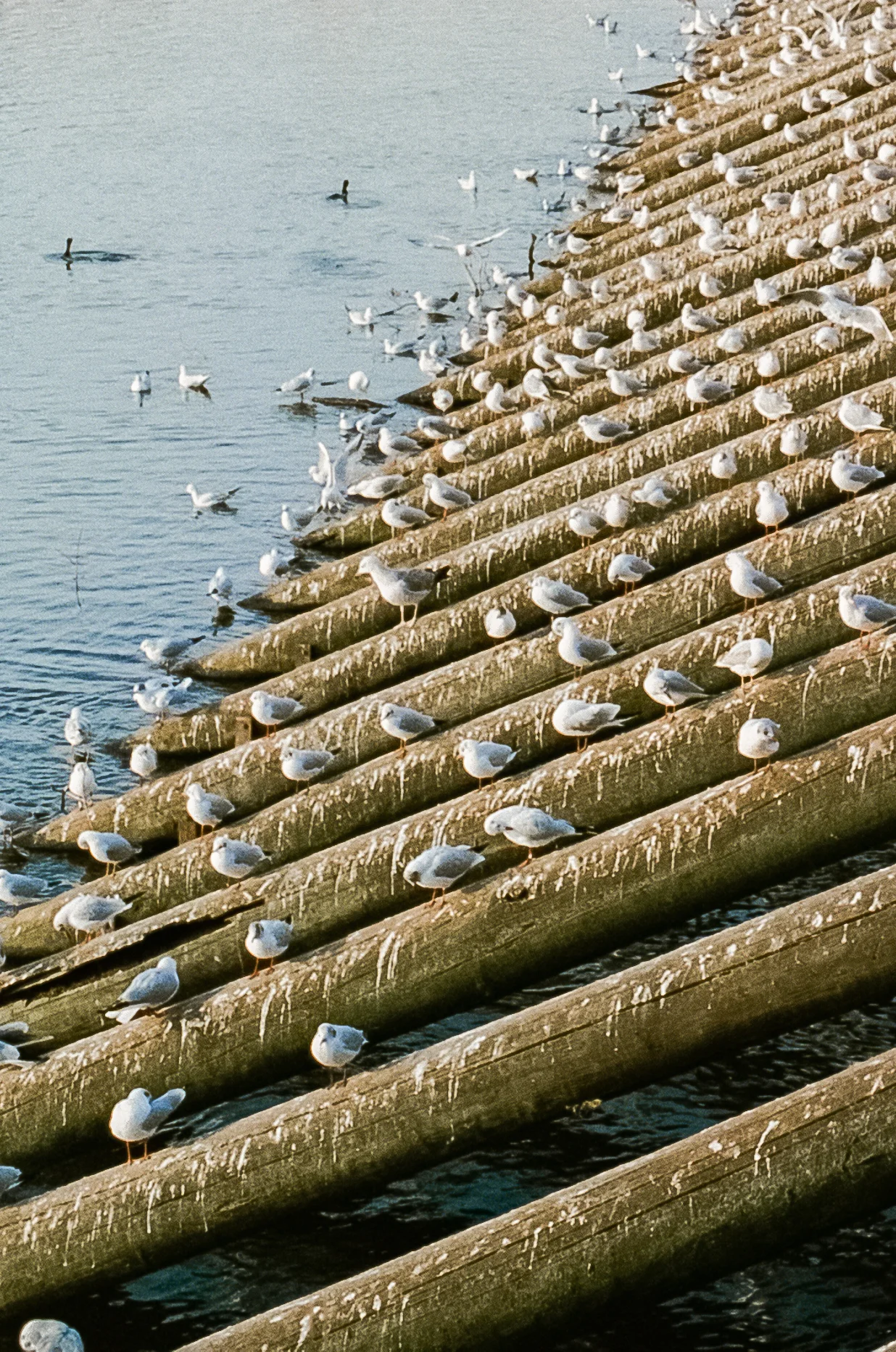 6.2 Norway, Prague-37.jpg