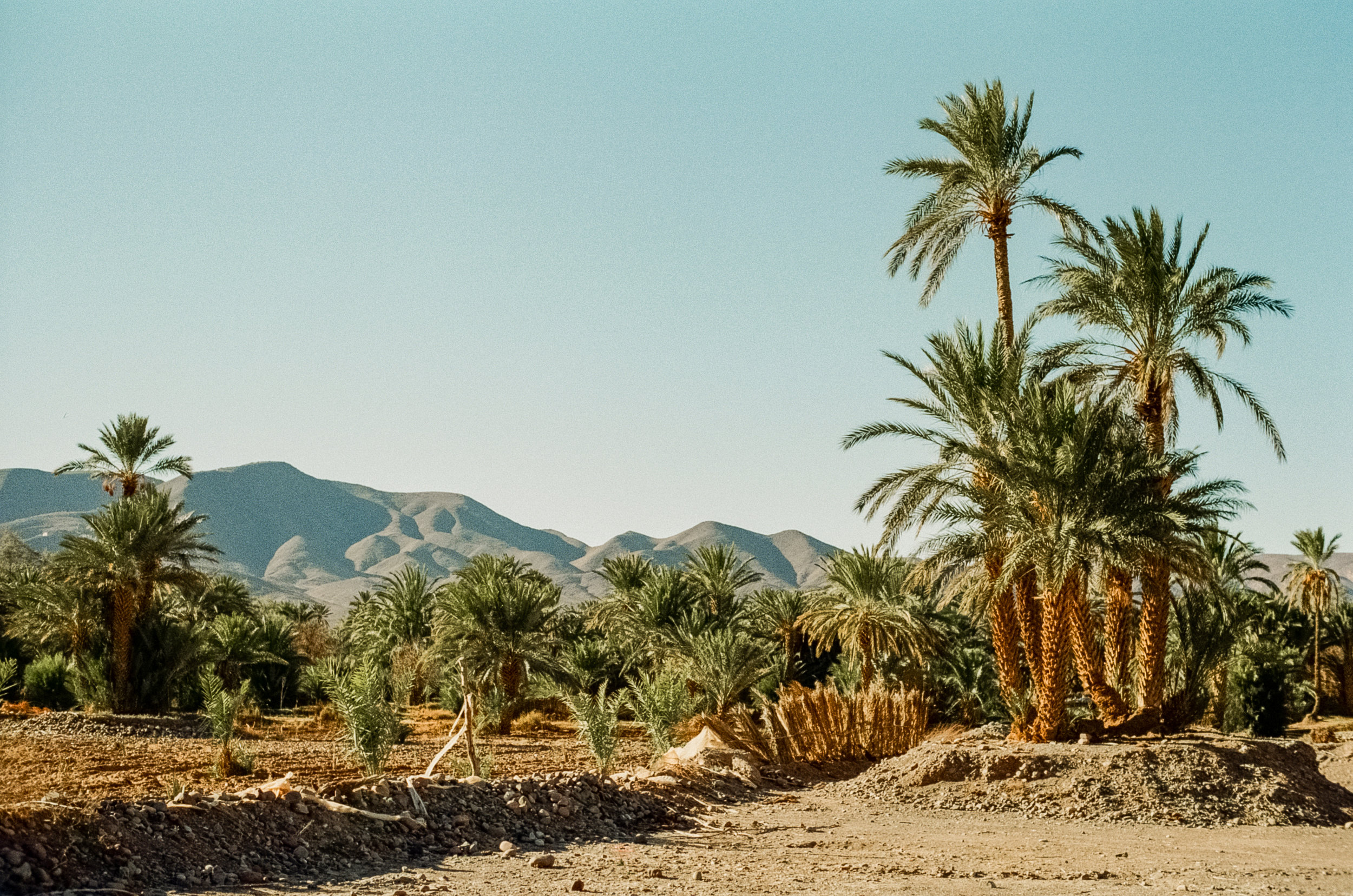 5.1 Morocco-33.jpg