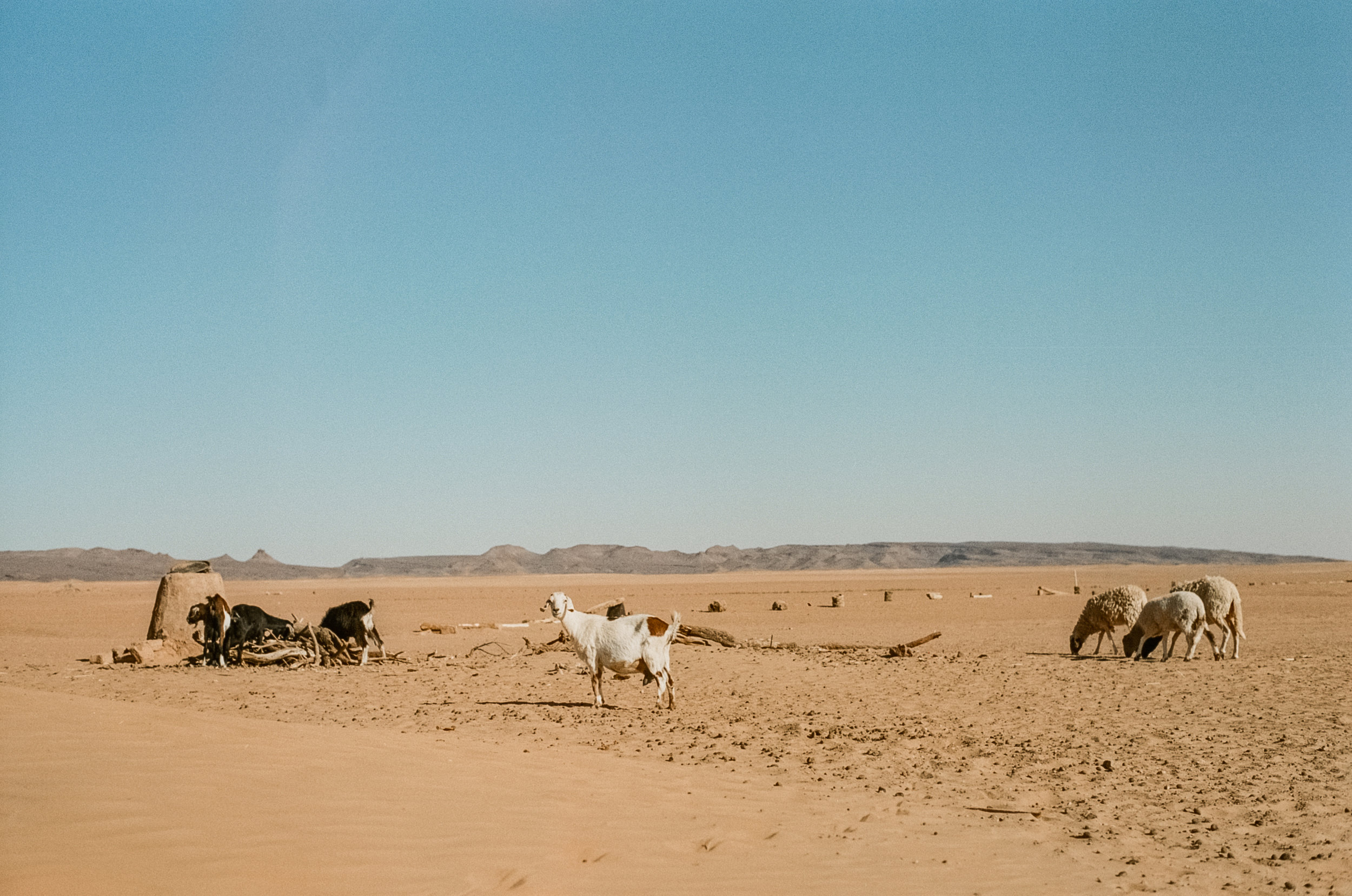 5.2 Morocco, Norway-11.jpg