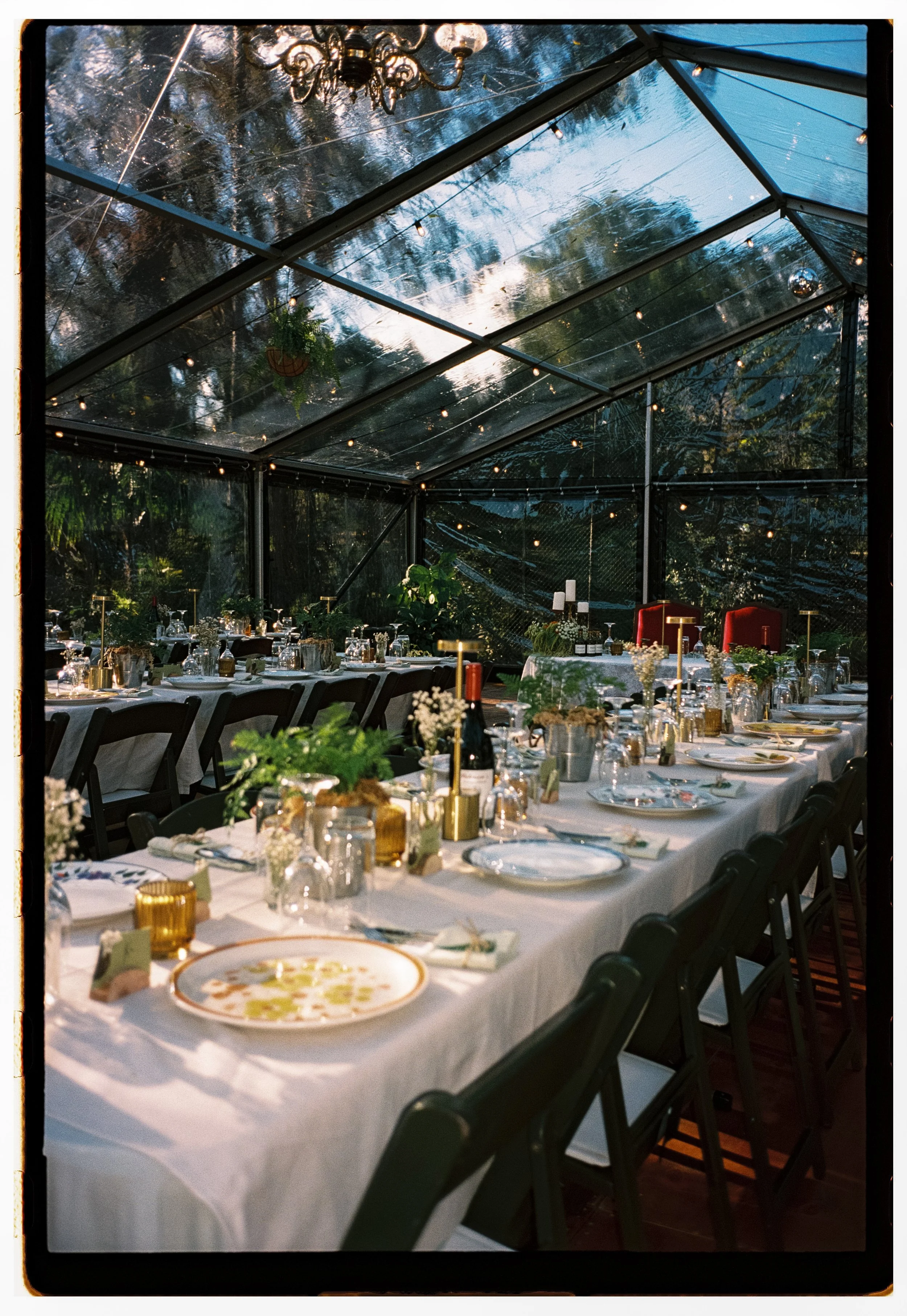 B+R on film _ Catherine Nemanic Studio-53.jpg