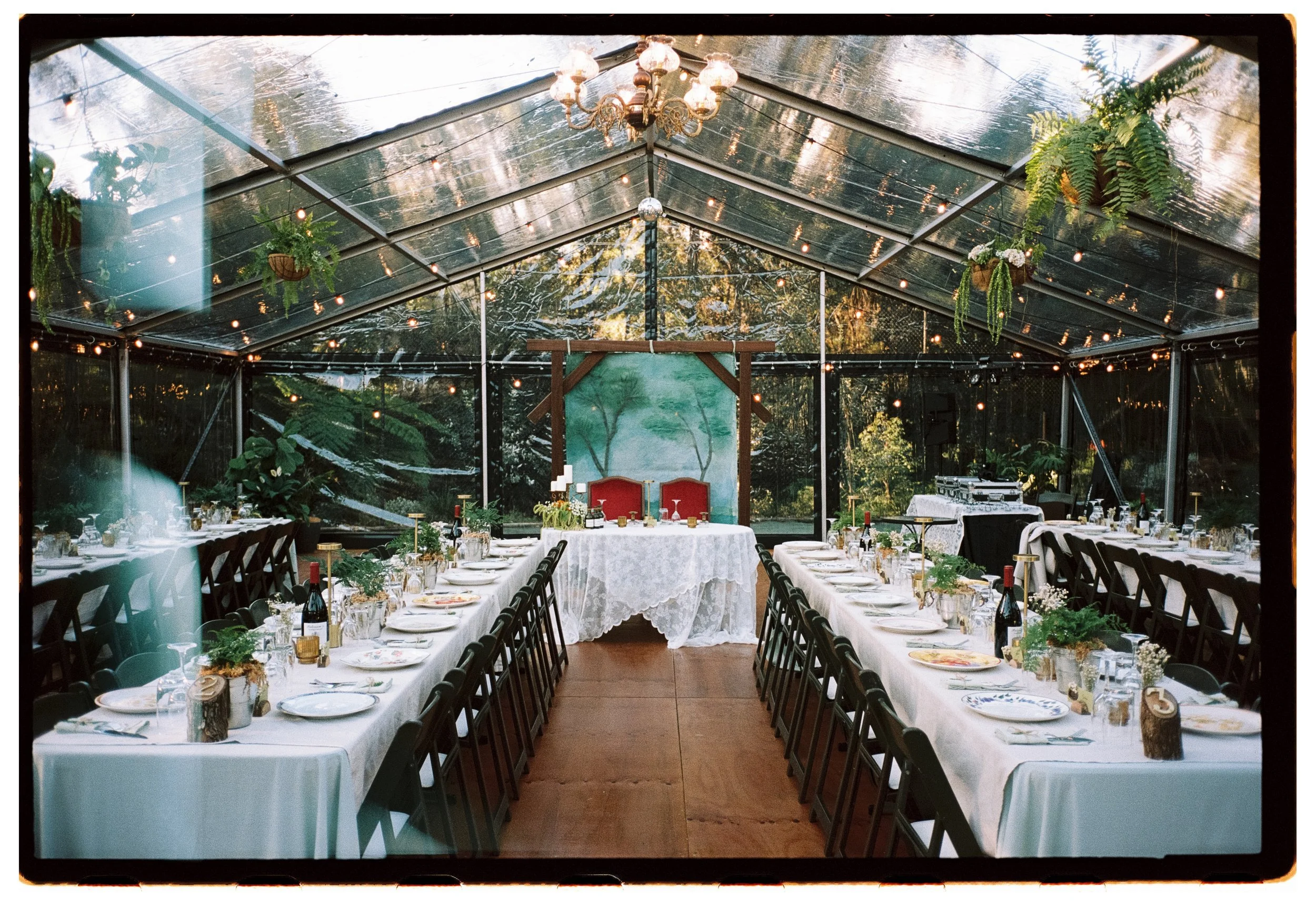 B+R on film _ Catherine Nemanic Studio-56.jpg