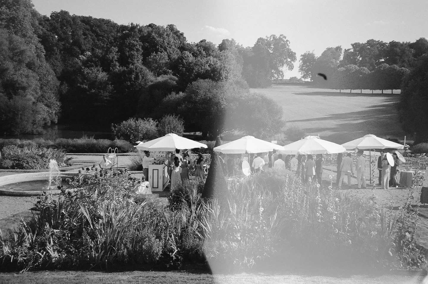 Fly on the wall
Horizontals on film. 

@chateaudugrandluce @arielchiuevents @kurtboomerphoto @peonies.weddingflowers @yiniii_gao @chenye_cy
