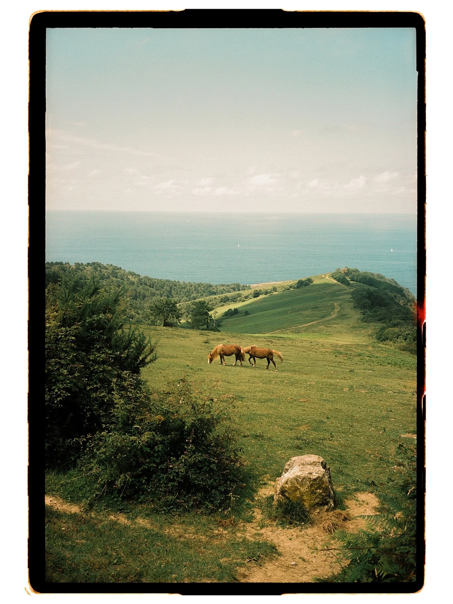 paradise lost
somewhere in basque country, spain 
2025

frames from a day that lives rent free in my head. in the summer sun, on a day off in between weddings, we were driving up the coast from San Sebasti&aacute;n towards Bilbao, and stopped for a h
