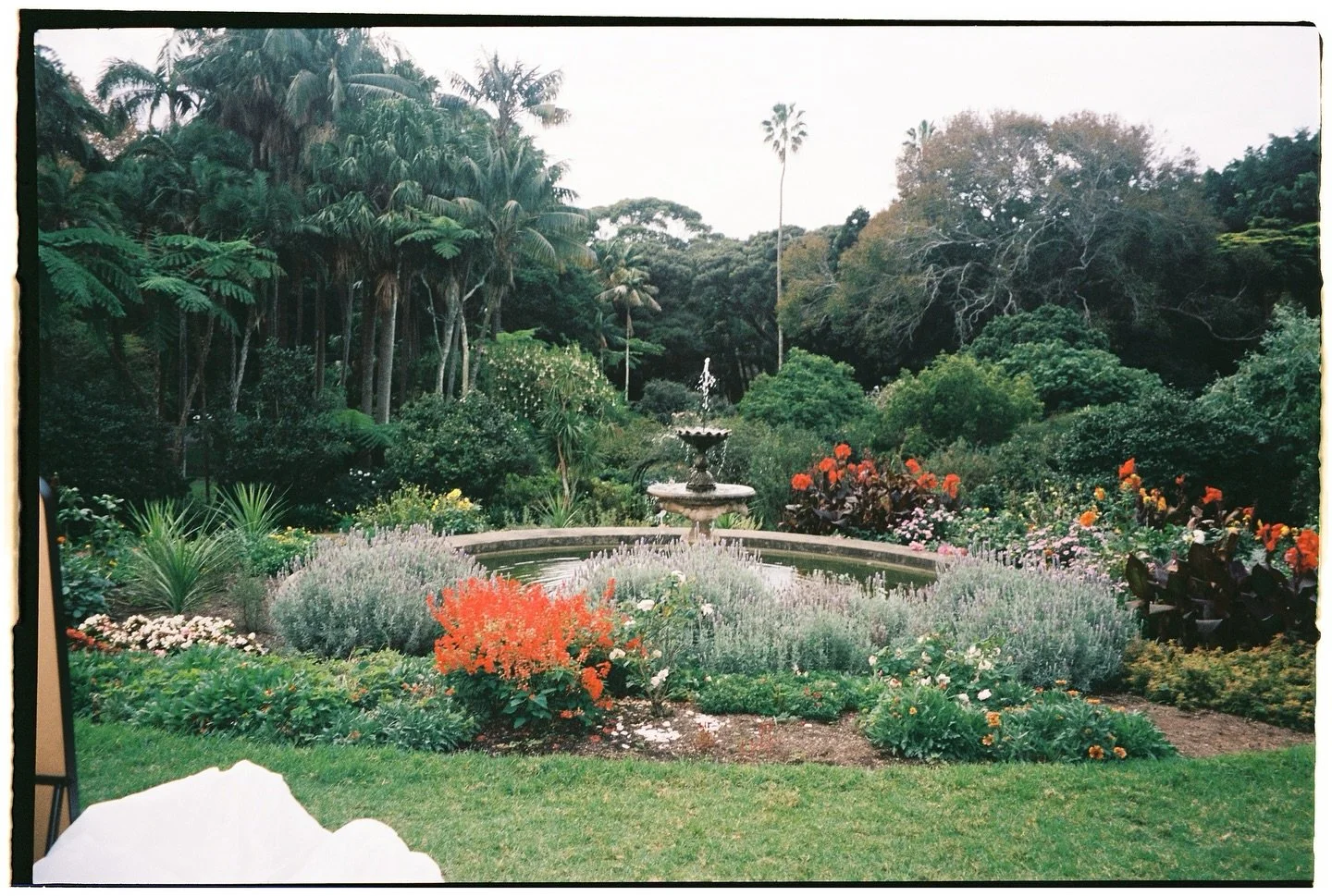 the fountain at vaucluse house
sydney, australia
2025

being an official vendor of @mhnswvenues, I have an intimate knowledge of how to best capture your celebrations at these wonderful historic venues. get in touch if you have booked any of their sy