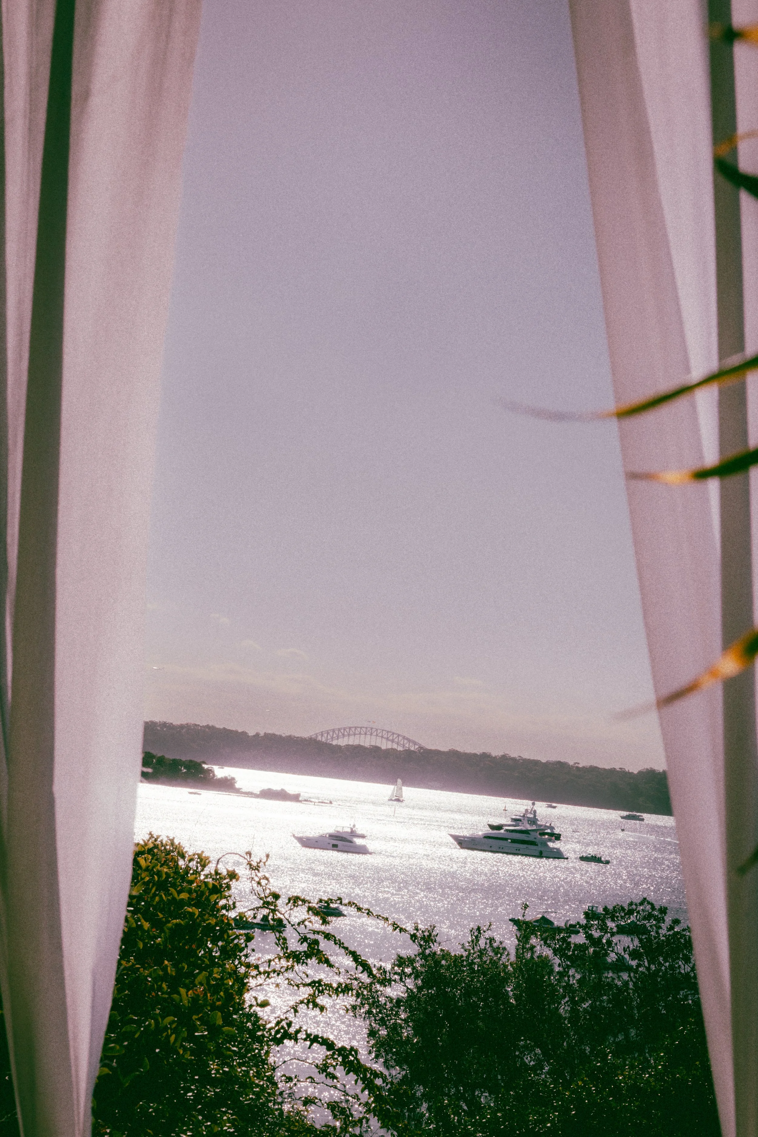 Catherine Nemanic Studio-SM-791.jpg