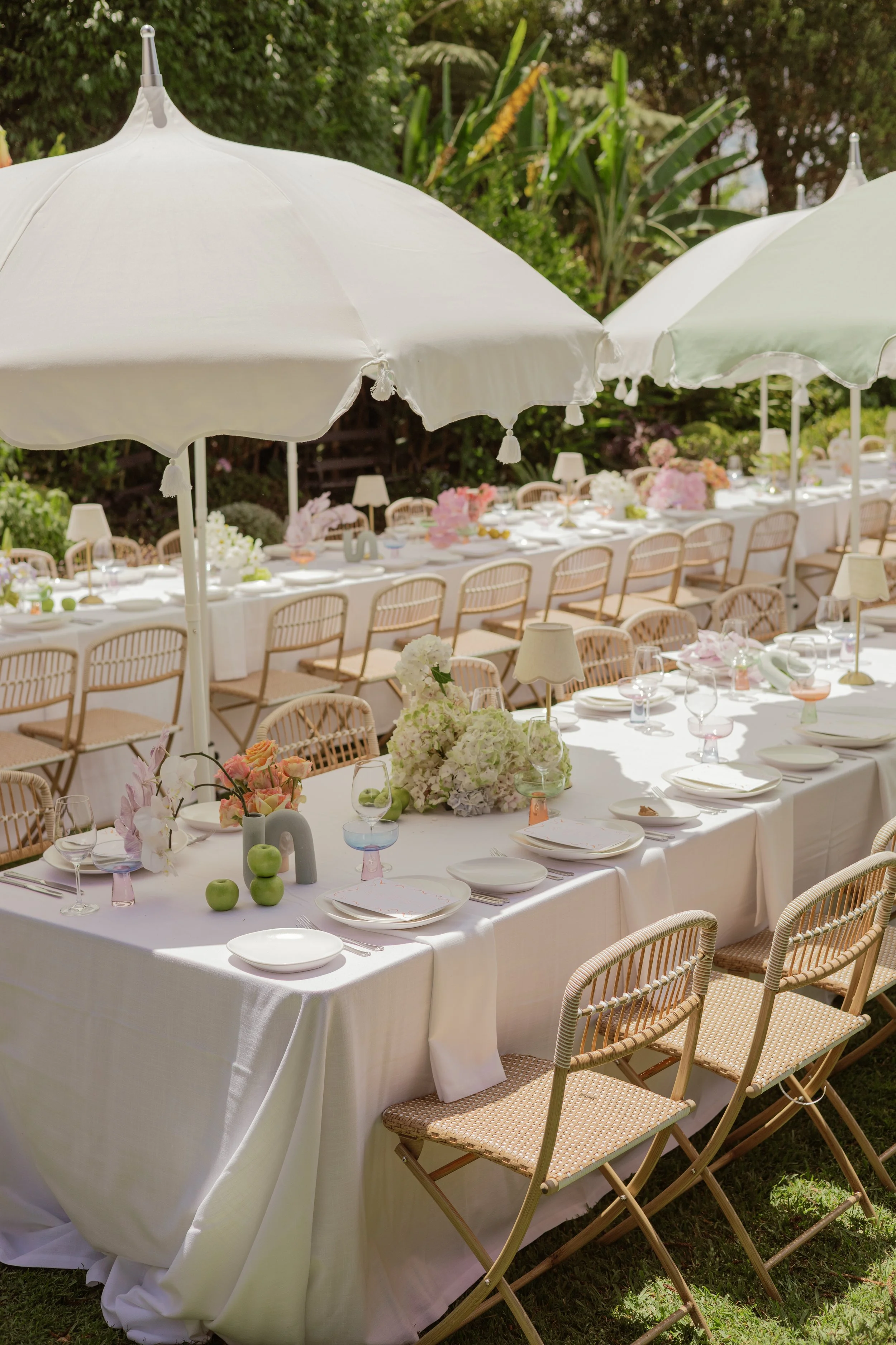 Catherine Nemanic Studio - Lindesay House 2026-2.jpg