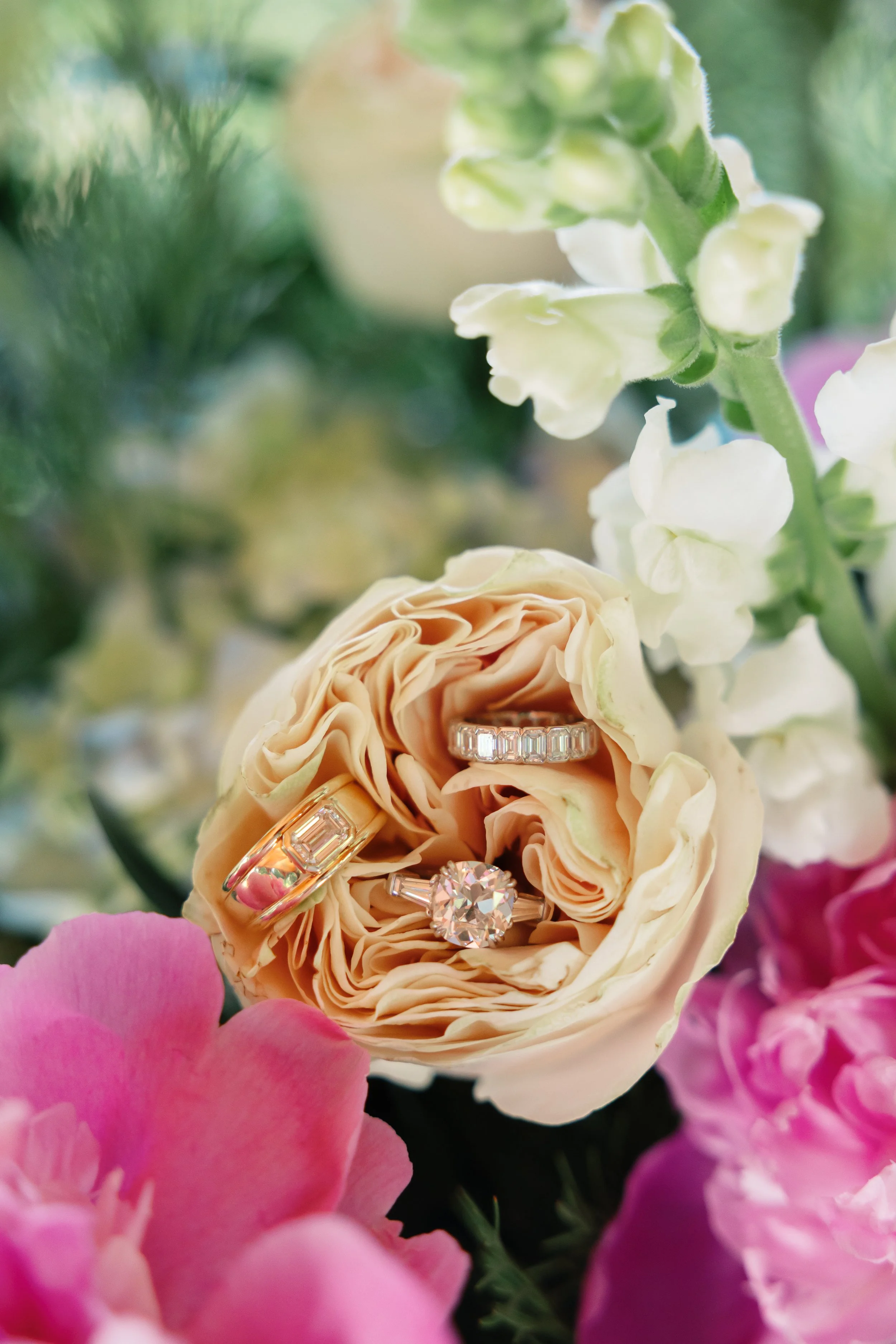 Catherine Nemanic Studio - MJ picks-1.jpg