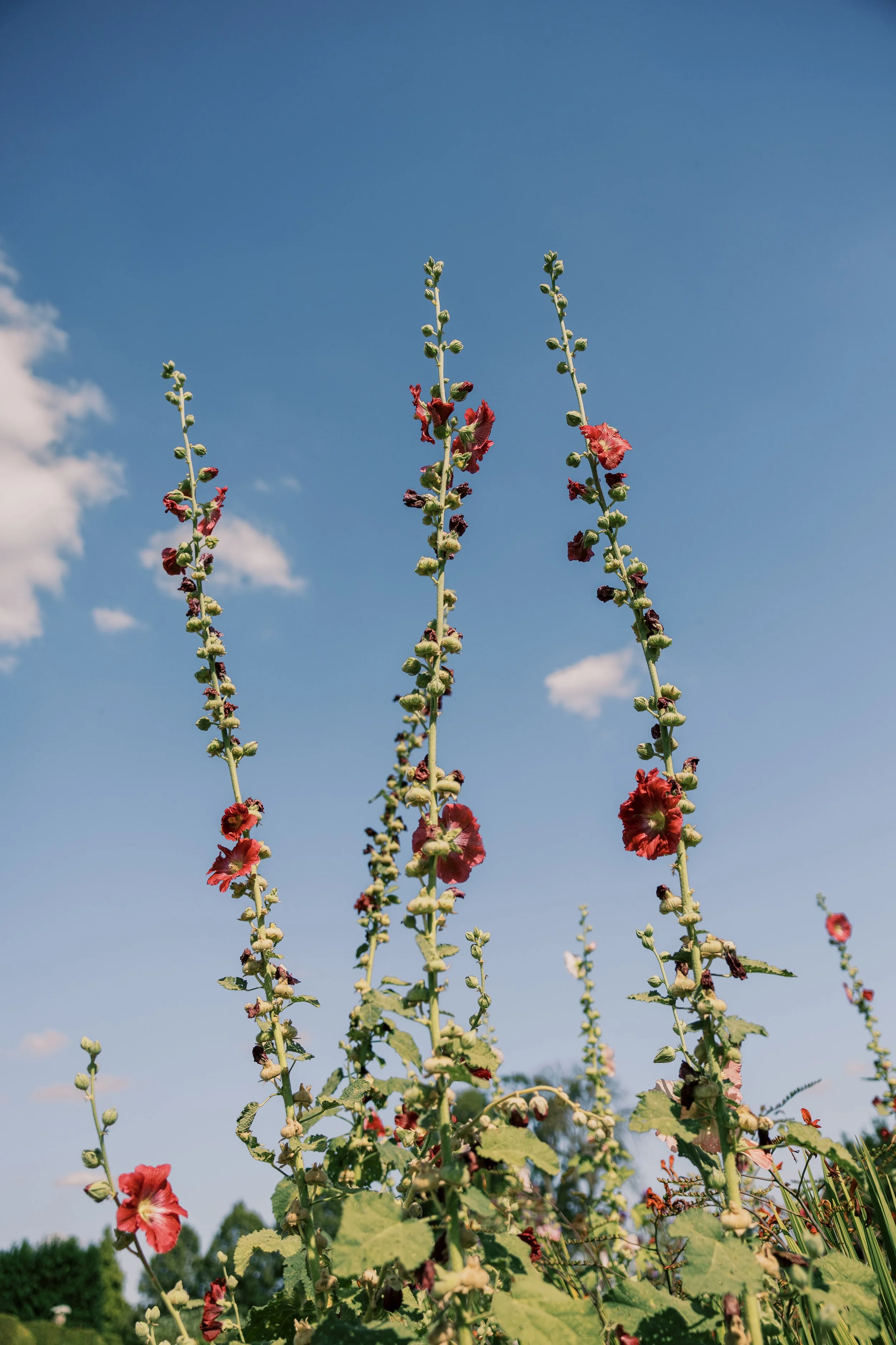 Catherine Nemanic Studio - Chateau du Grand Luce-41.jpg