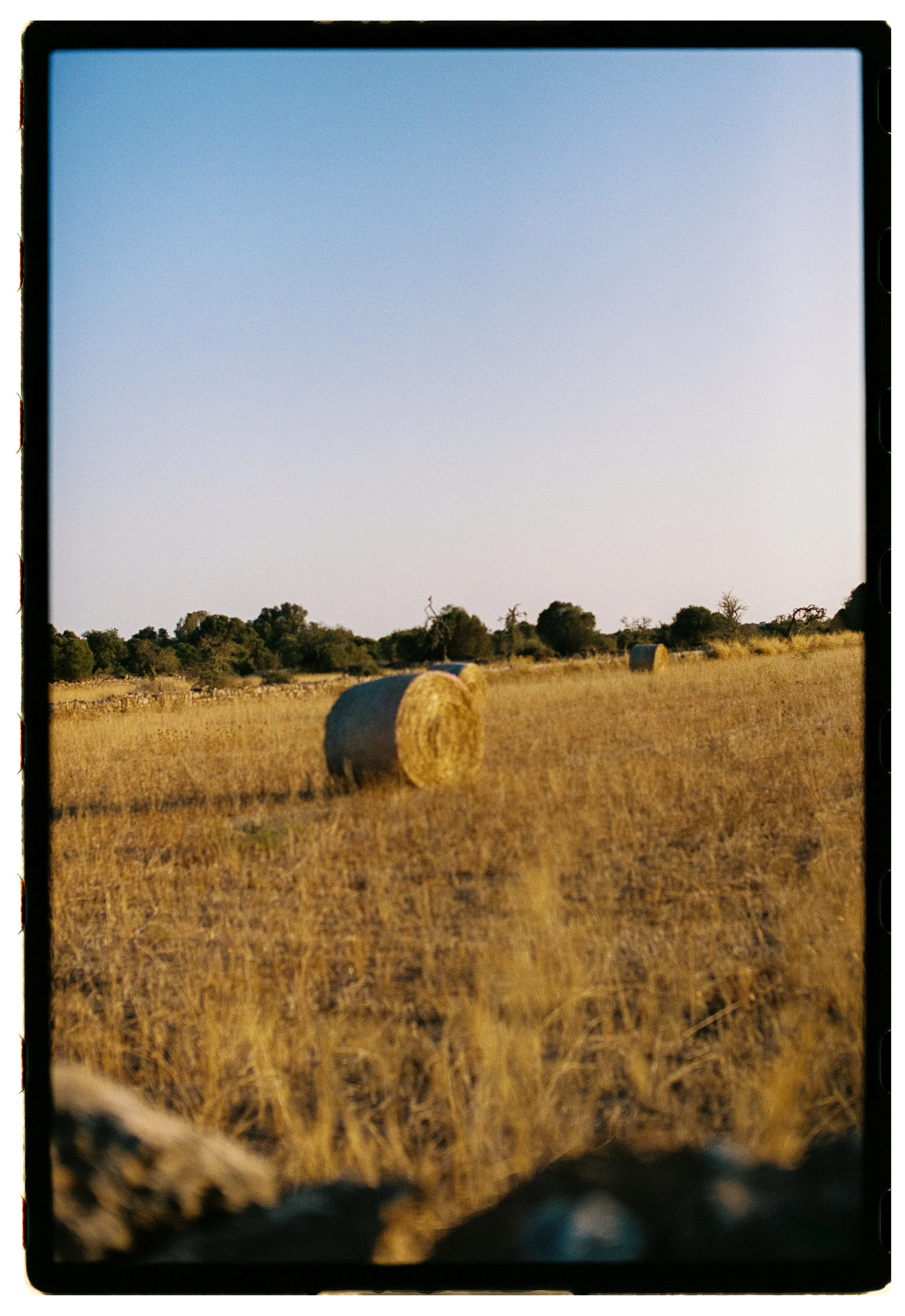 Catherine Nemanic Studio_Roll 3 Mallorca_28.jpg