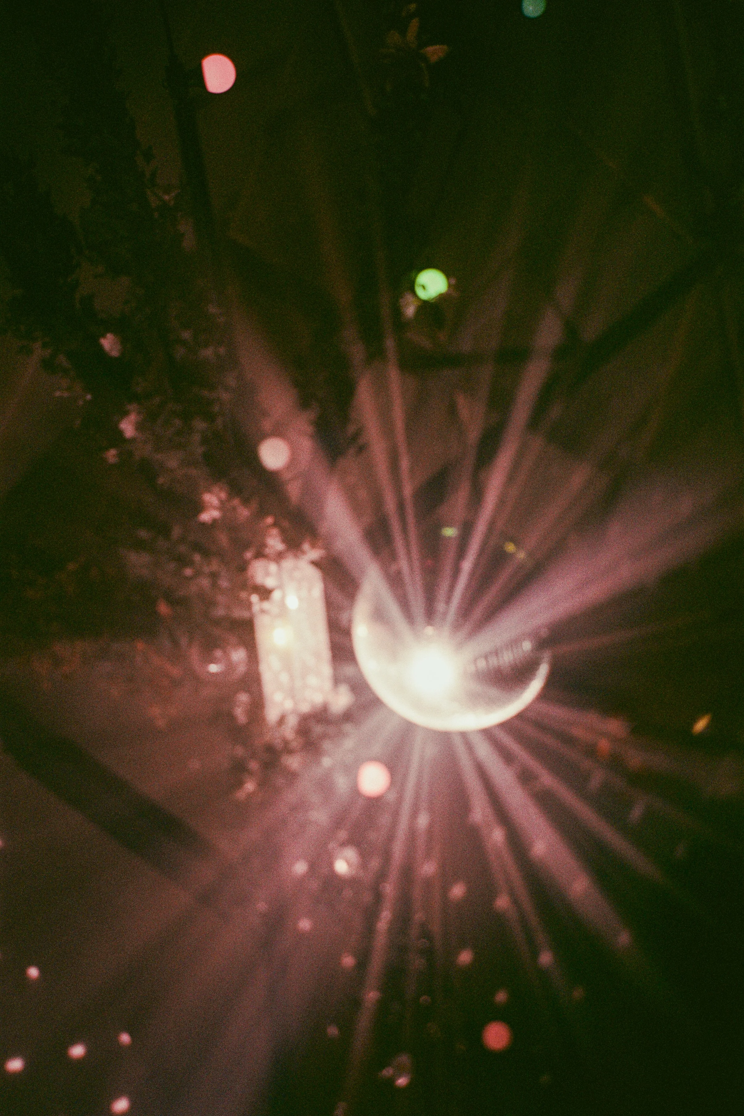 Catherine Nemanic Studio_6.jpg