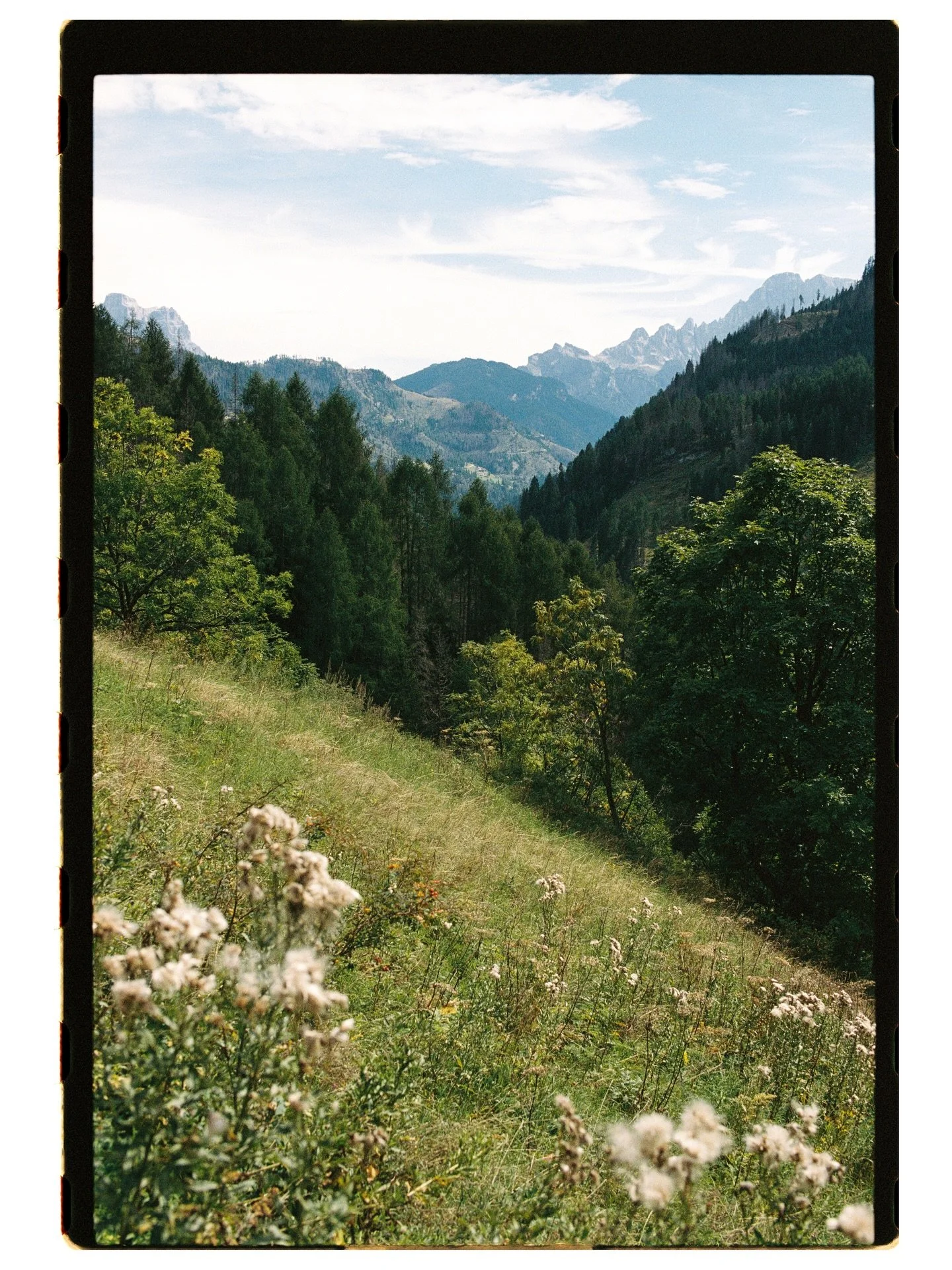 Rebirth in the Dolomites 
2025
Italy

A joy to capture. Each frame perfectly composed in camera, bordered by the black negative of film photography.