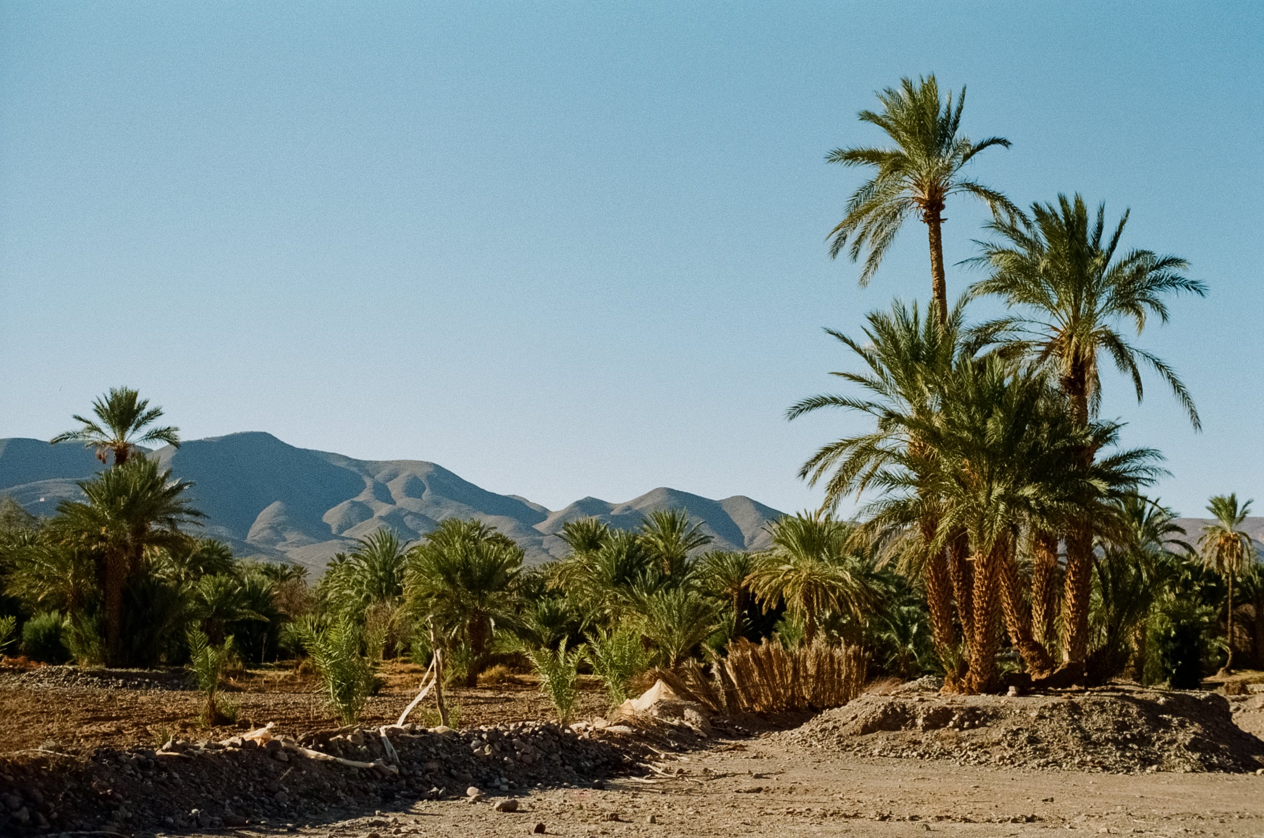 Catherine Nemanic Studio_Morocco_0026.jpg