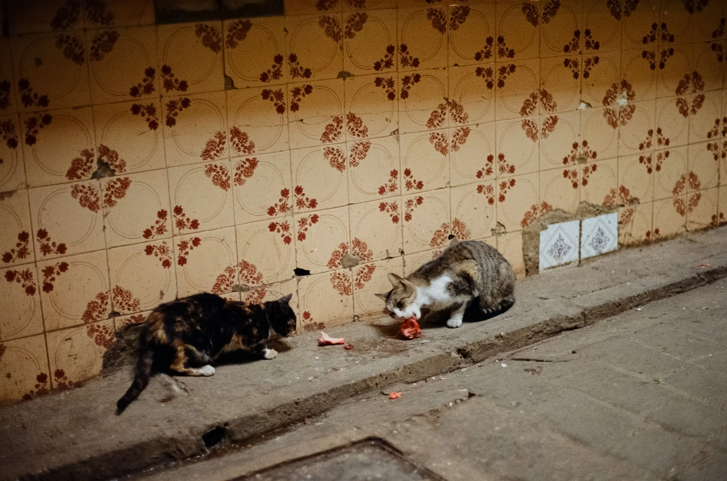 Catherine Nemanic Studio_Morocco_0013.jpg