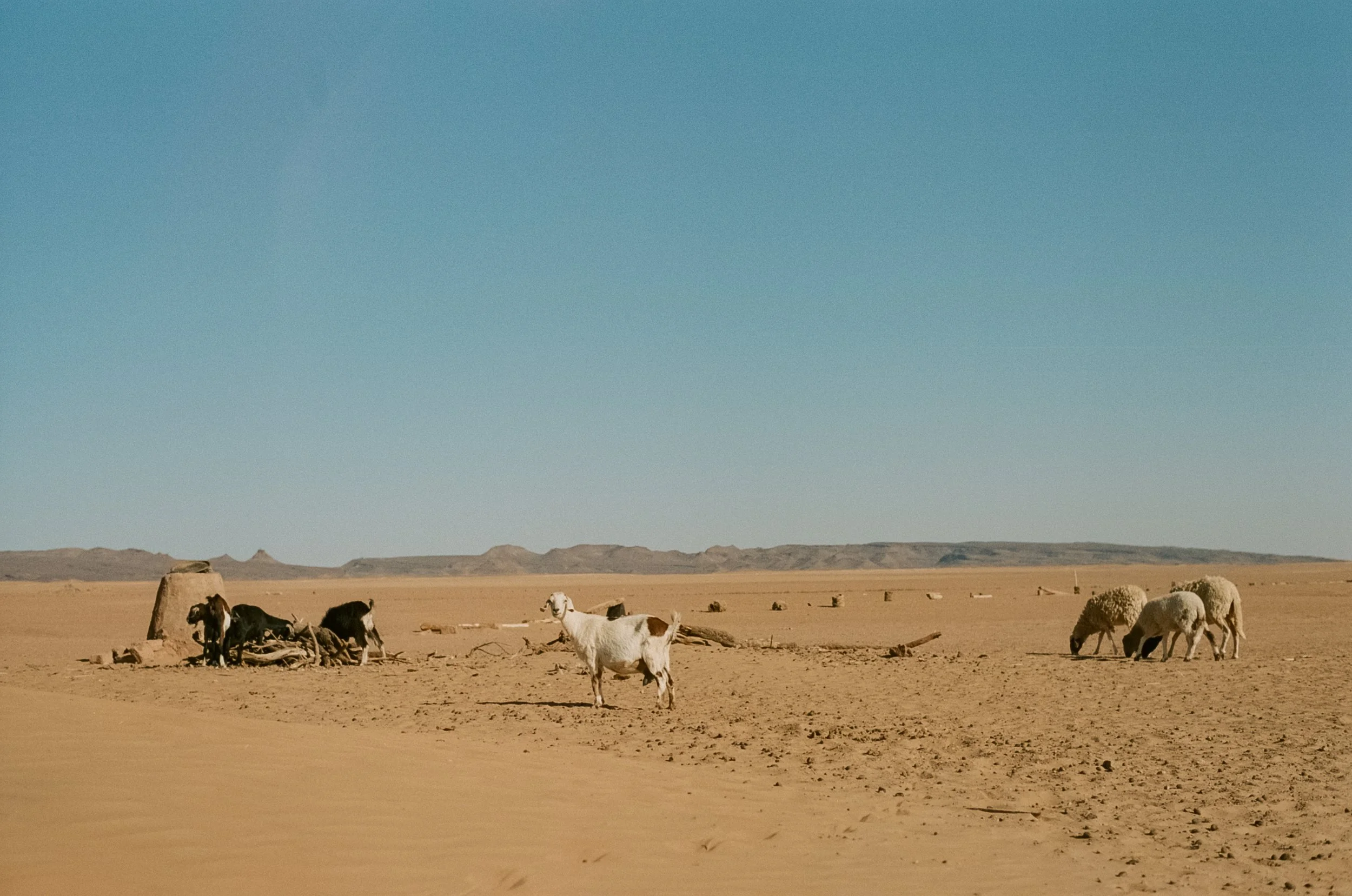 Catherine Nemanic Studio_Morocco_0003.jpg
