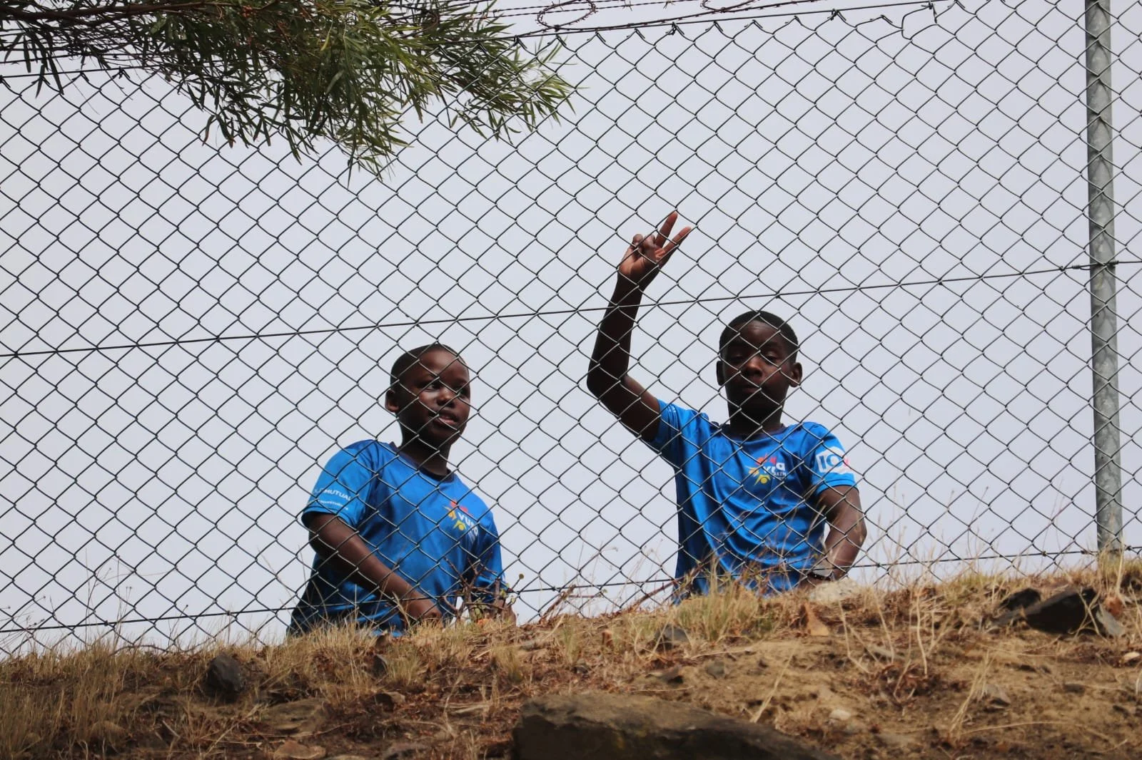 WhatsApp Image 2026-03-02 at 19.45.58.jpeg