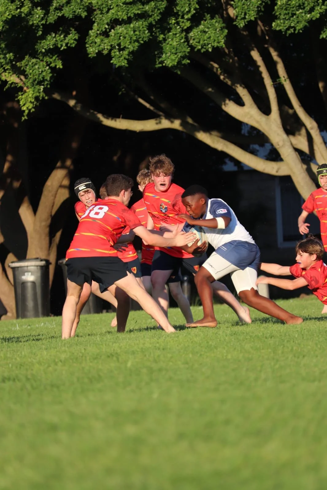 WhatsApp Image 2026-04-13 at 20.46.32.jpeg