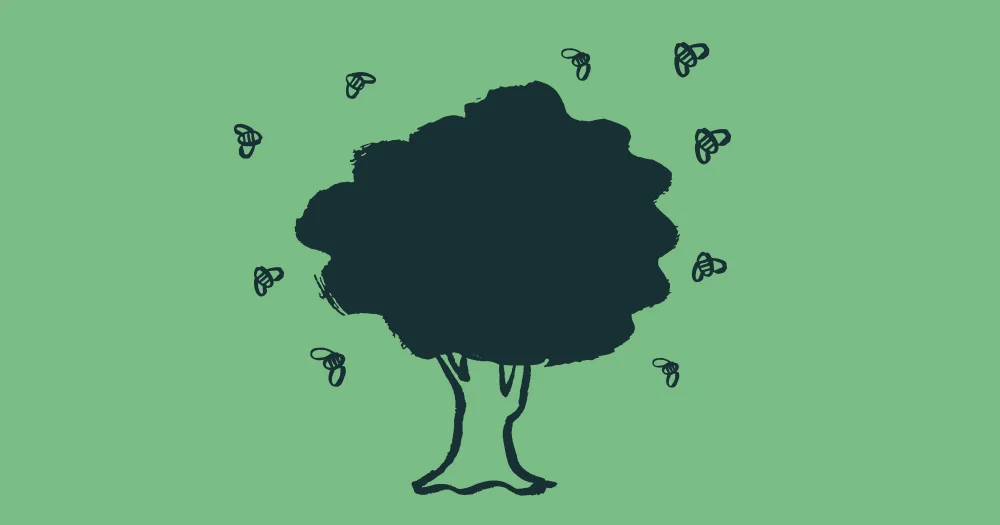 environment-img.jpg