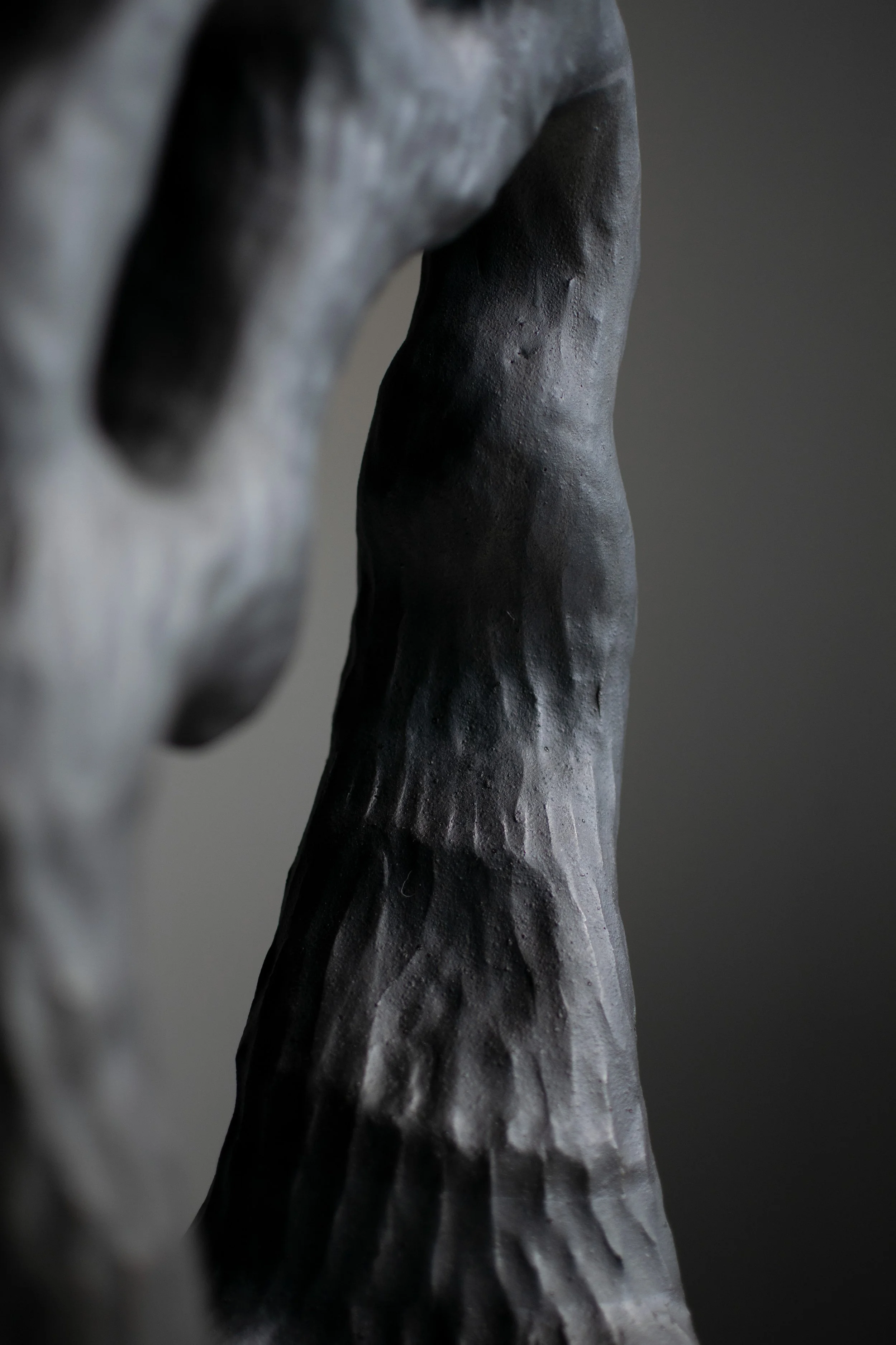 Harp3.jpg